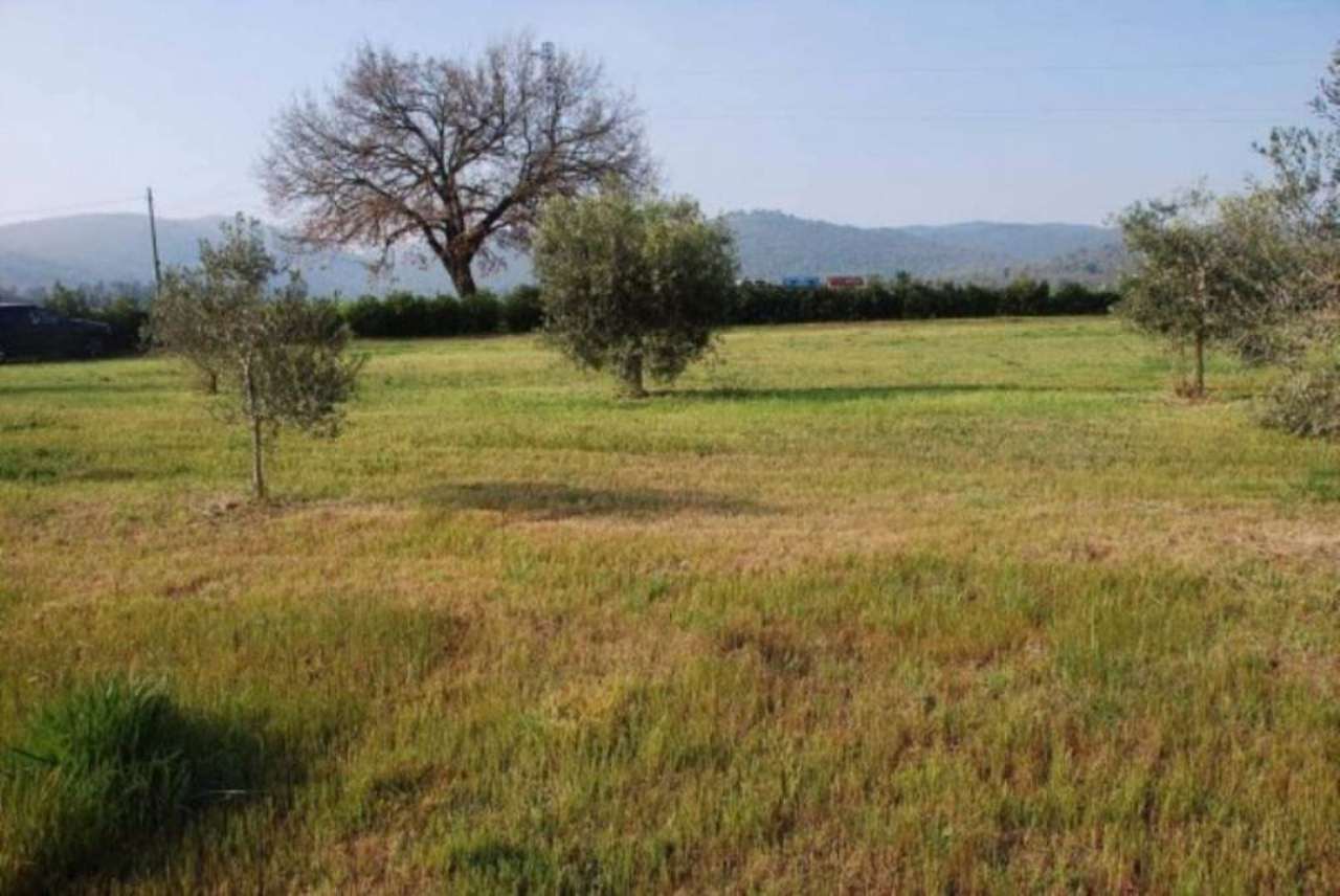 Rustico - Cascina MANCIANO vendita   Unnamed Road Alianta