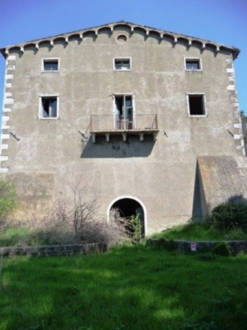 Rustico - Cascina MANCIANO vendita   Provinciale Collacchia Alianta