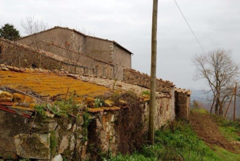 Rustico - Cascina MANCIANO vendita   Provinciale Collacchia Alianta