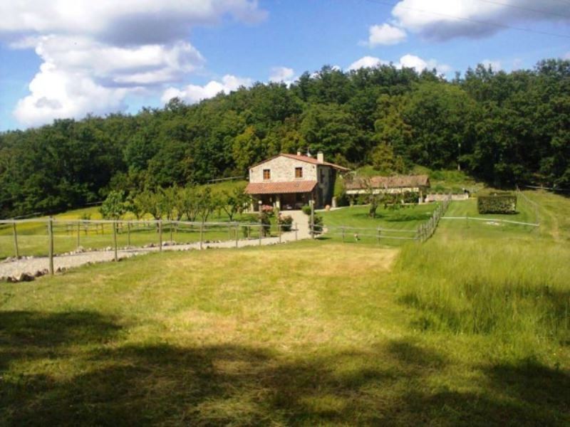 Rustico - Cascina ROCCASTRADA vendita   Statale 73 Senese Aretina Alianta