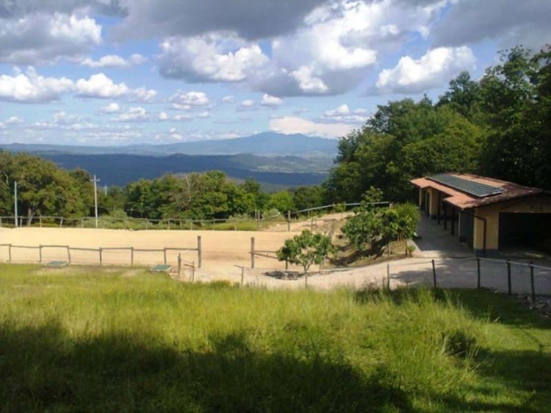 Rustico - Cascina ROCCASTRADA vendita   Statale 73 Senese Aretina Alianta