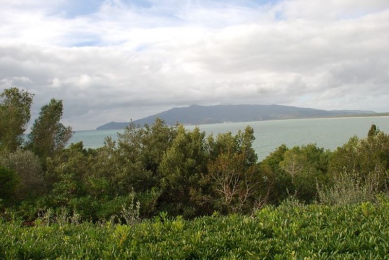 Villa ORBETELLO vendita   delle Mimose Alianta