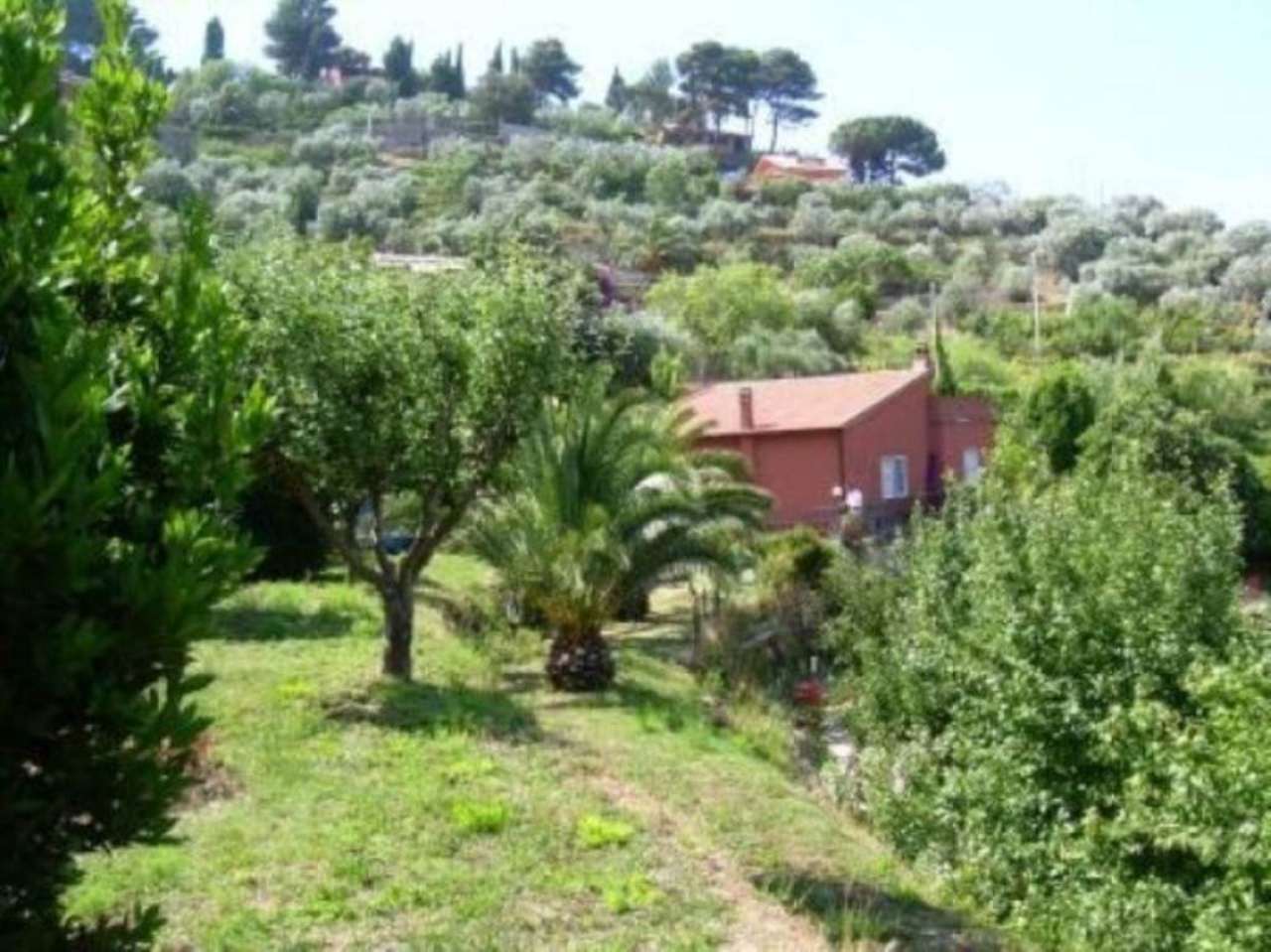 Villa MONTE ARGENTARIO vendita   del Sole Alianta