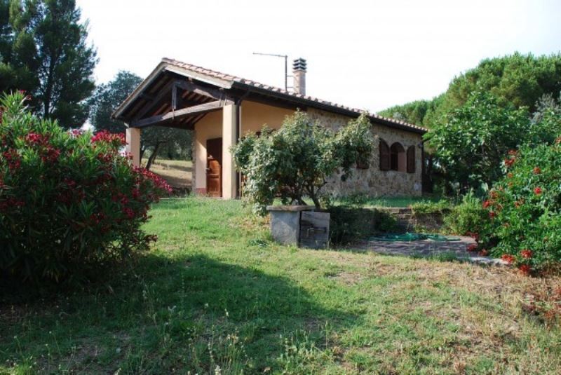 Rustico - Cascina MAGLIANO IN TOSCANA vendita   Statale 323 Alianta