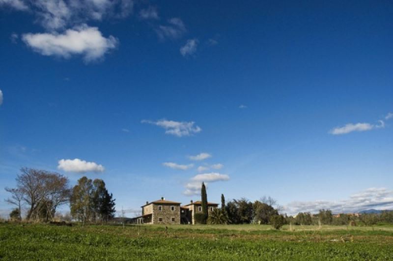 Rustico - Cascina MANCIANO vendita   Scansanese Alianta