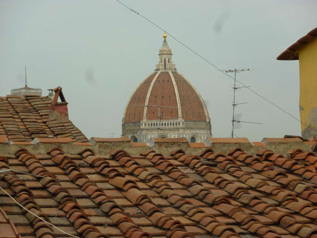 Appartamento FIRENZE vendita  DUOMO San Giuseppe AZ Agenzia Immobiliare