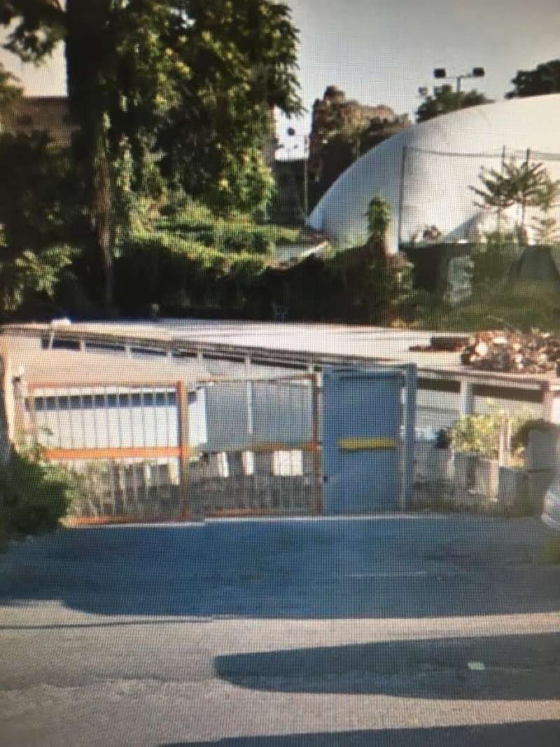  roma affitto quart: tuscolano (vi mun.) roberto-tribuzzi