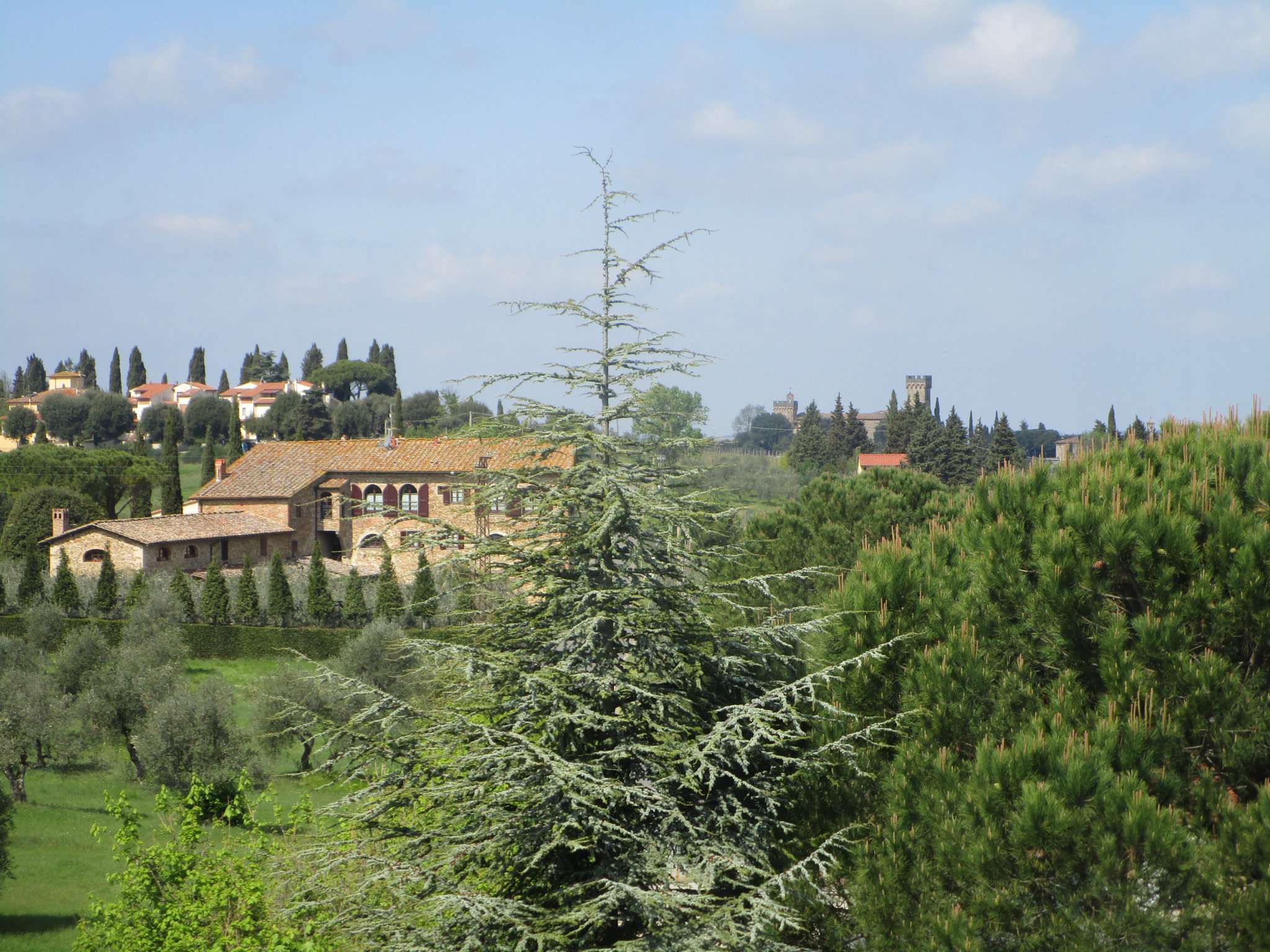  montespertoli vendita quart:  parterre immobiliare