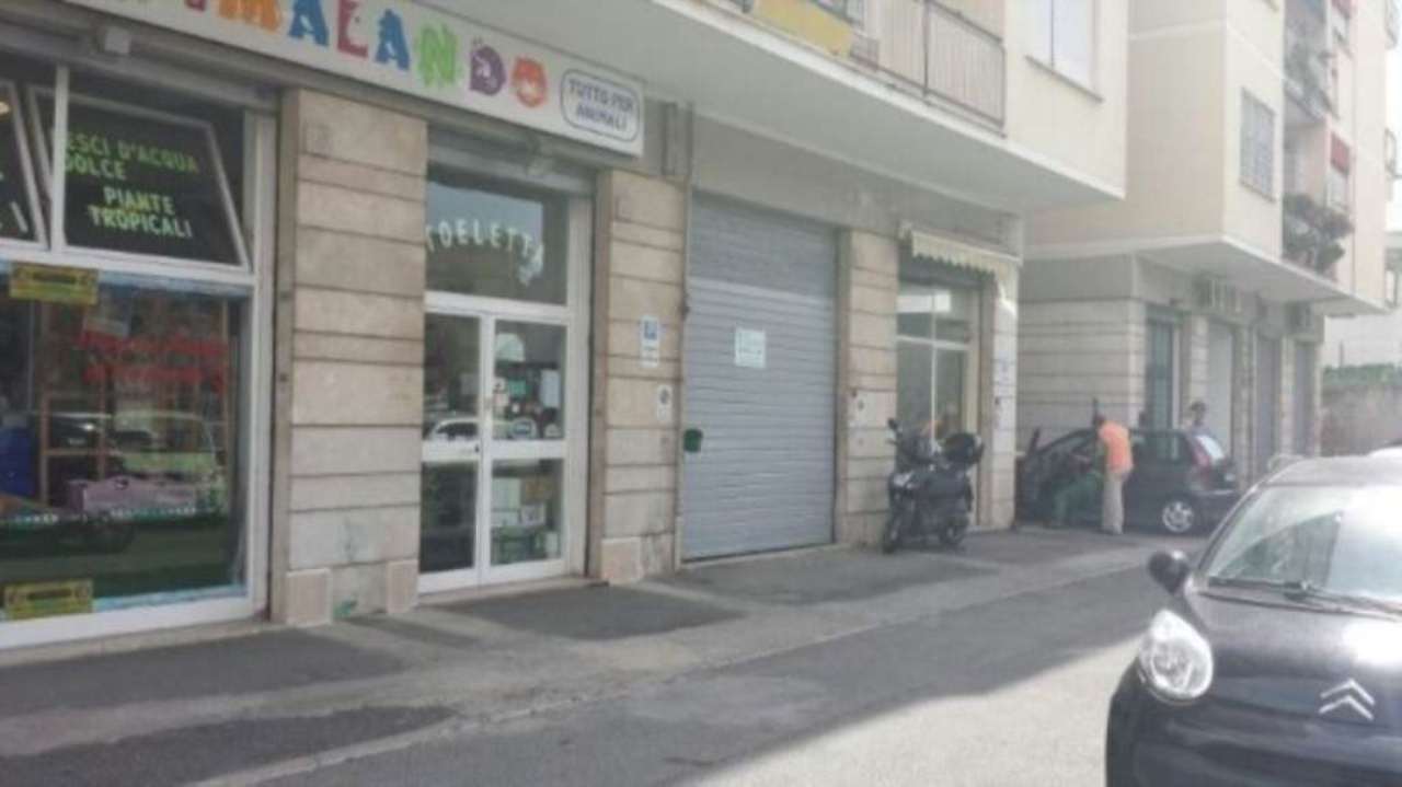  roma affitto quart: appia nuova quadrifoglio-immobiliare
