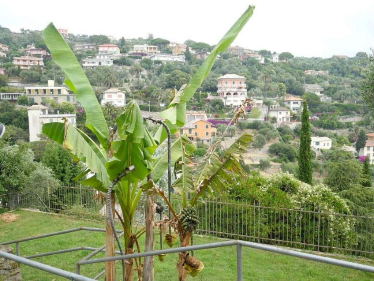 Villa Trifamiliare SANTA MARGHERITA LIGURE vendita   Mandraccio Tebere Immobili