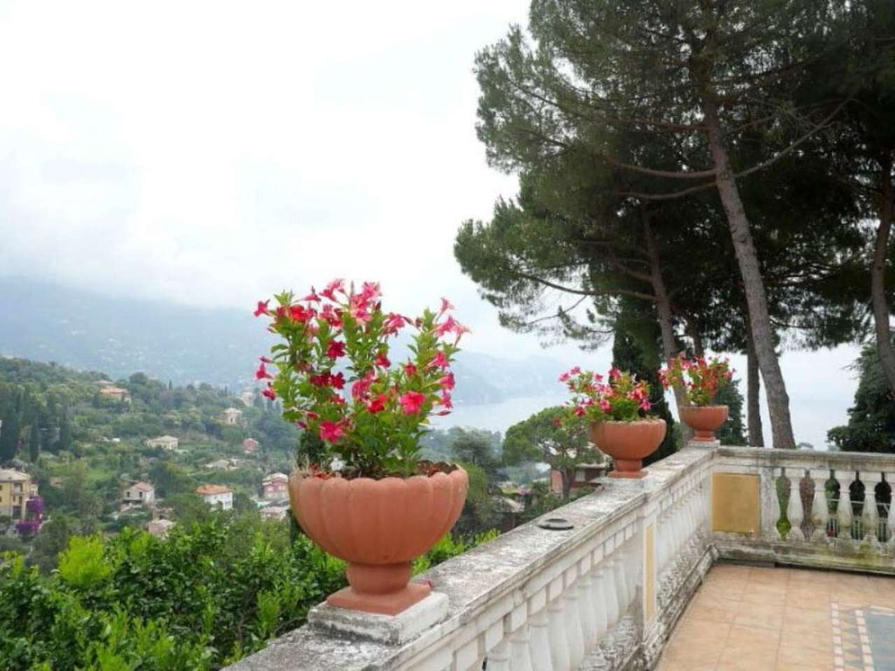  santa margherita ligure vendita quart:  tebere immobili