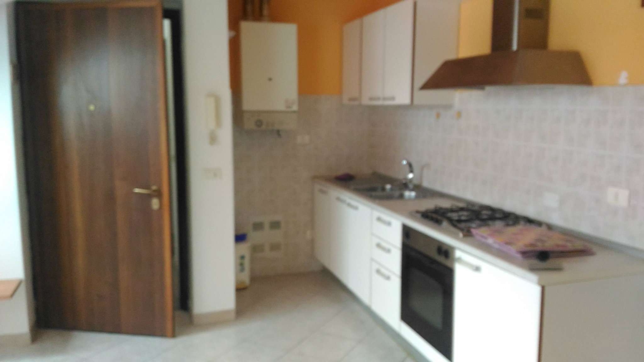 Appartamento ALESSANDRIA affitto    ALAN MEYER