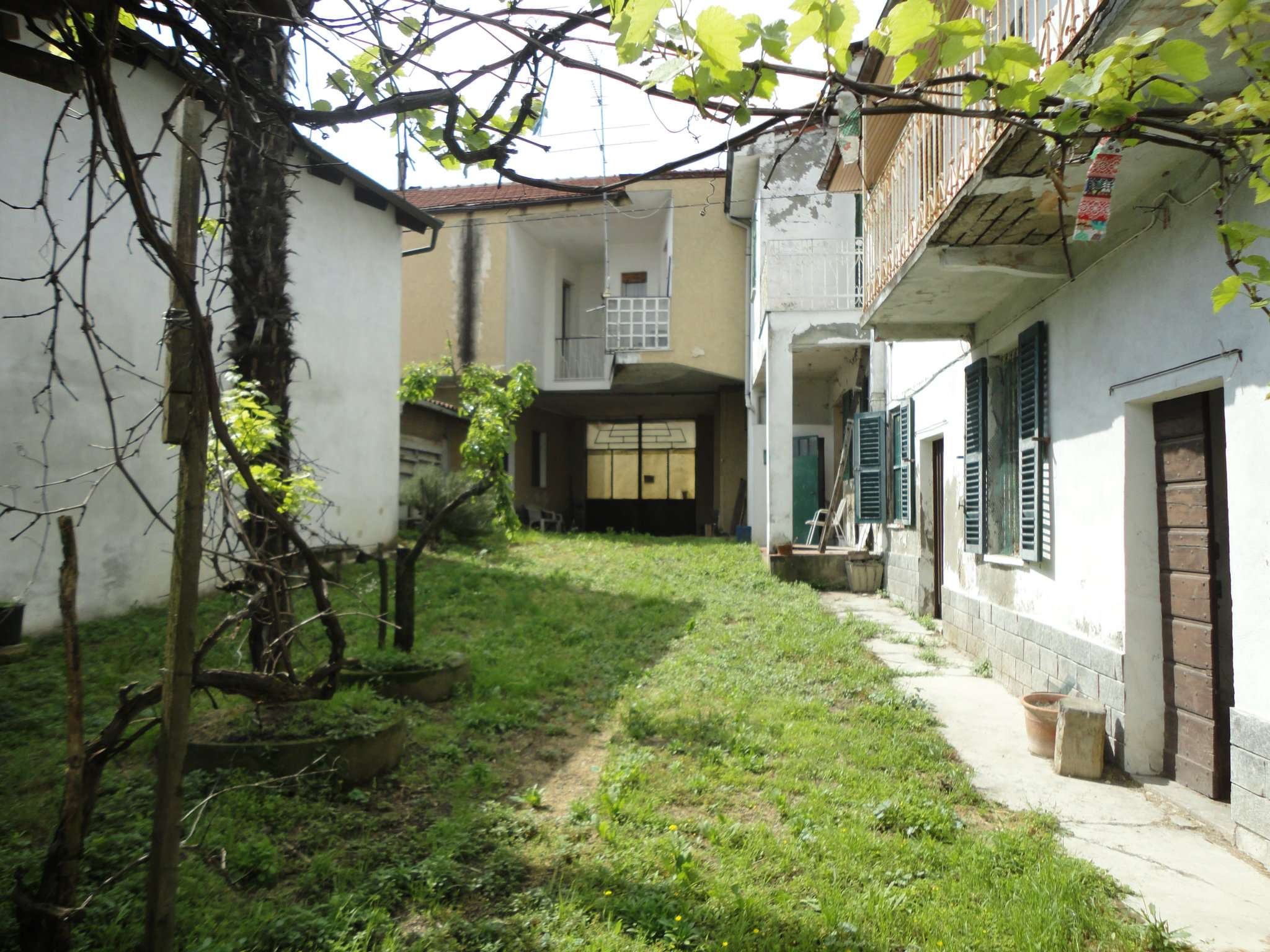  san salvatore monferrato vendita quart:  alan meyer