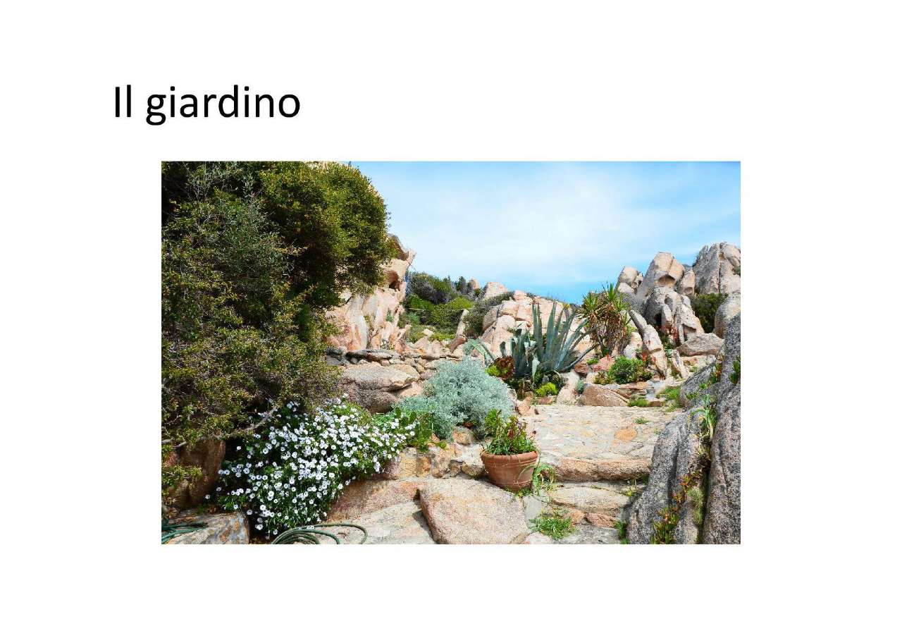 Villa LA MADDALENA vendita   Punta Lunga Studio Casadei S.A.S. di A.Casadei