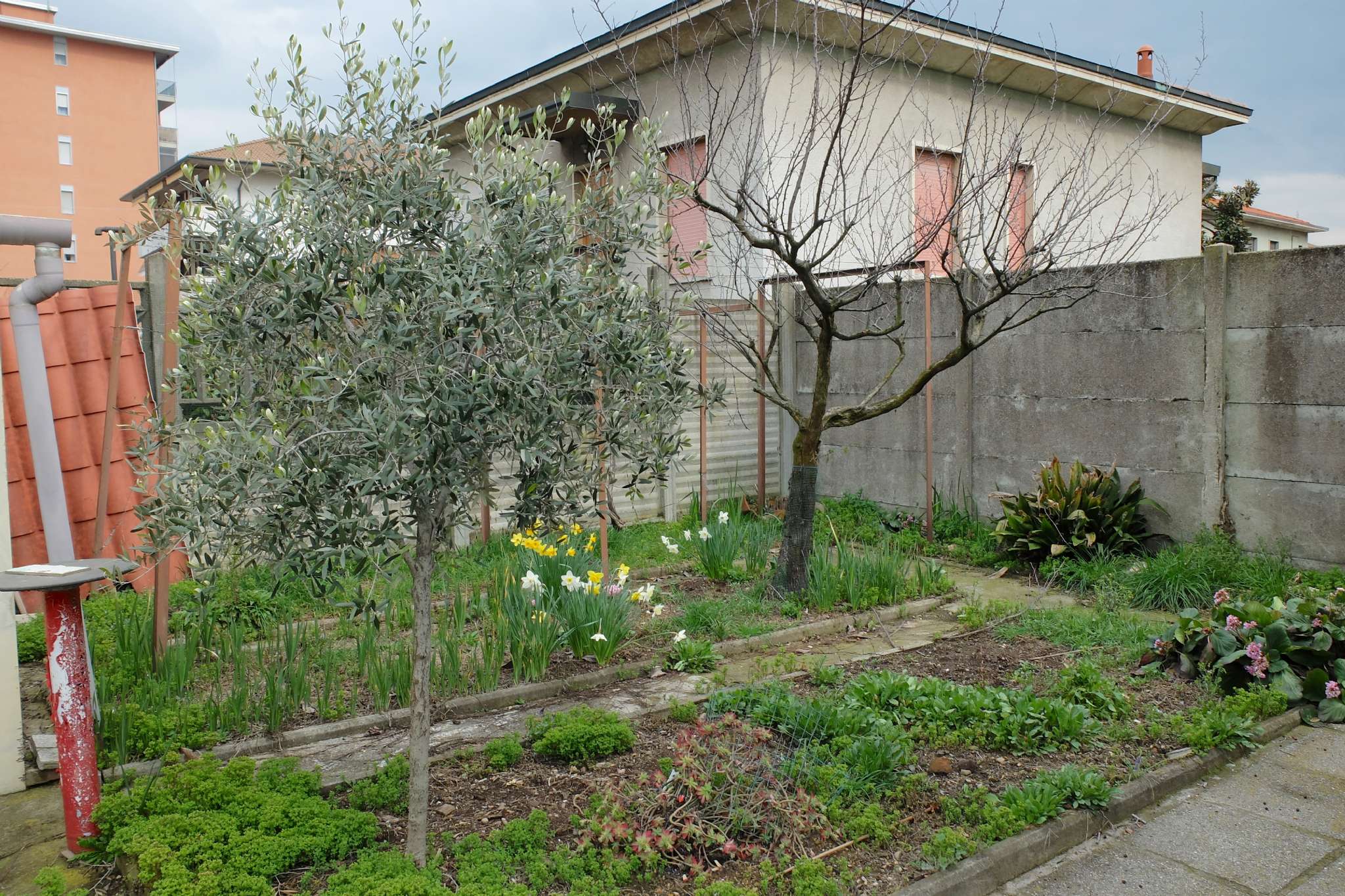 Villa Unifamiliare - Indipendente BUSTO ARSIZIO vendita   Chiari Langè Immobiliare