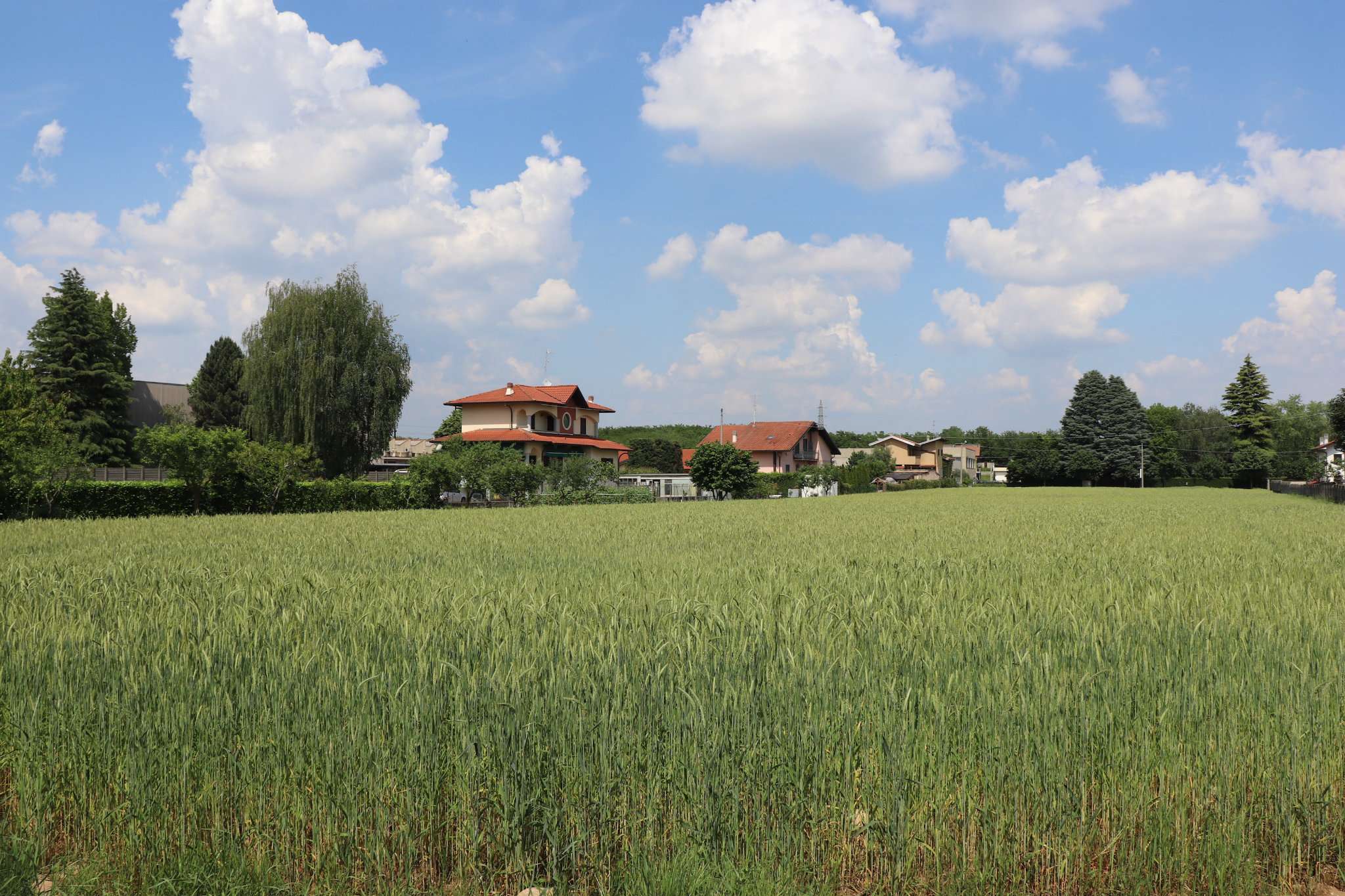 Villa Unifamiliare - Indipendente GORLA MINORE vendita   garibaldi Langè Immobiliare