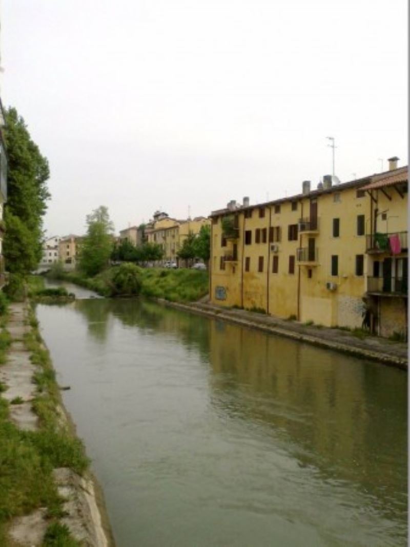 Negozio - Loc.Com. PADOVA vendita  SPECOLA  Promopadova immobiliare