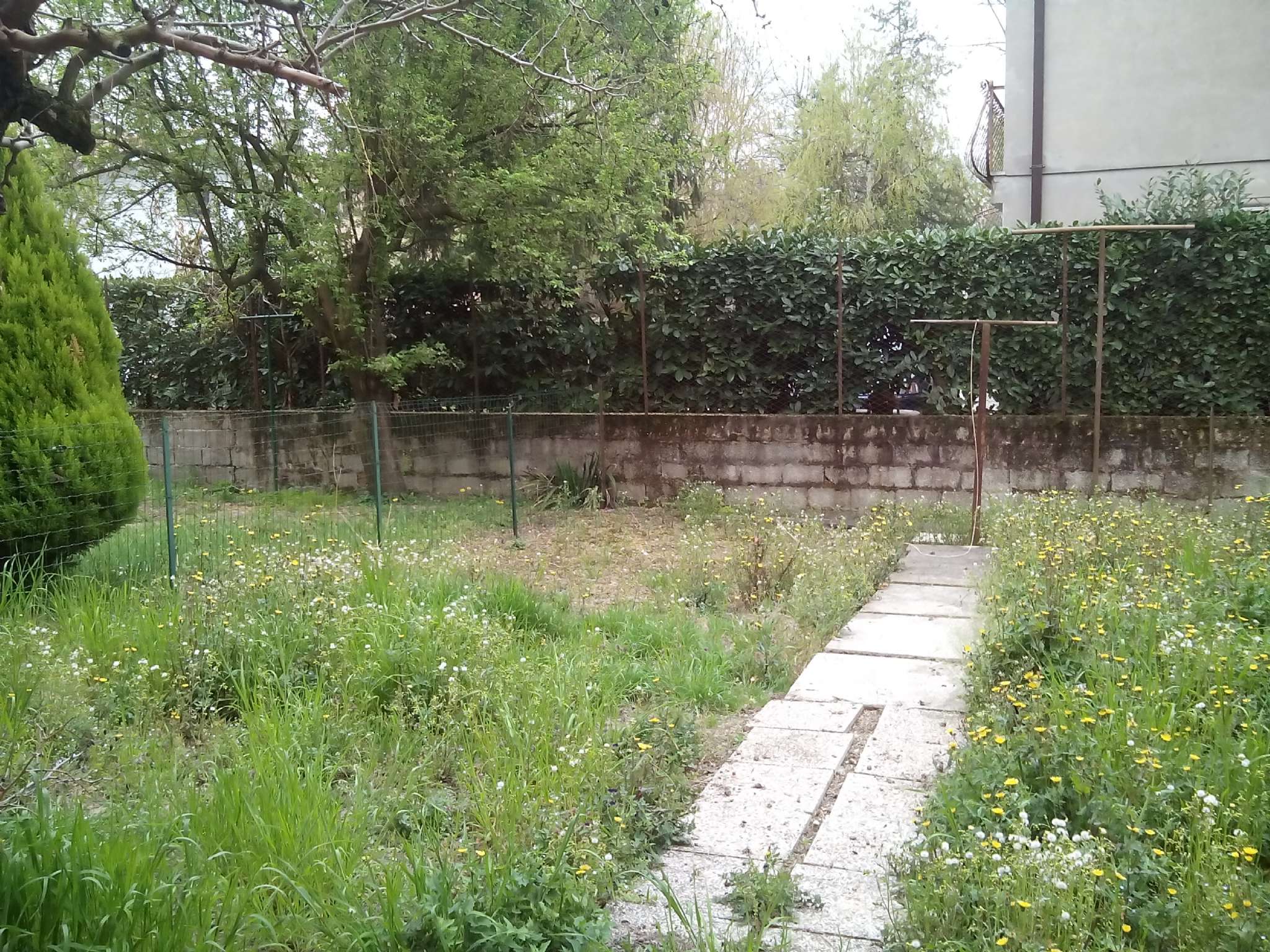 Villa Unifamiliare - Indipendente BATTAGLIA TERME vendita    Promopadova immobiliare