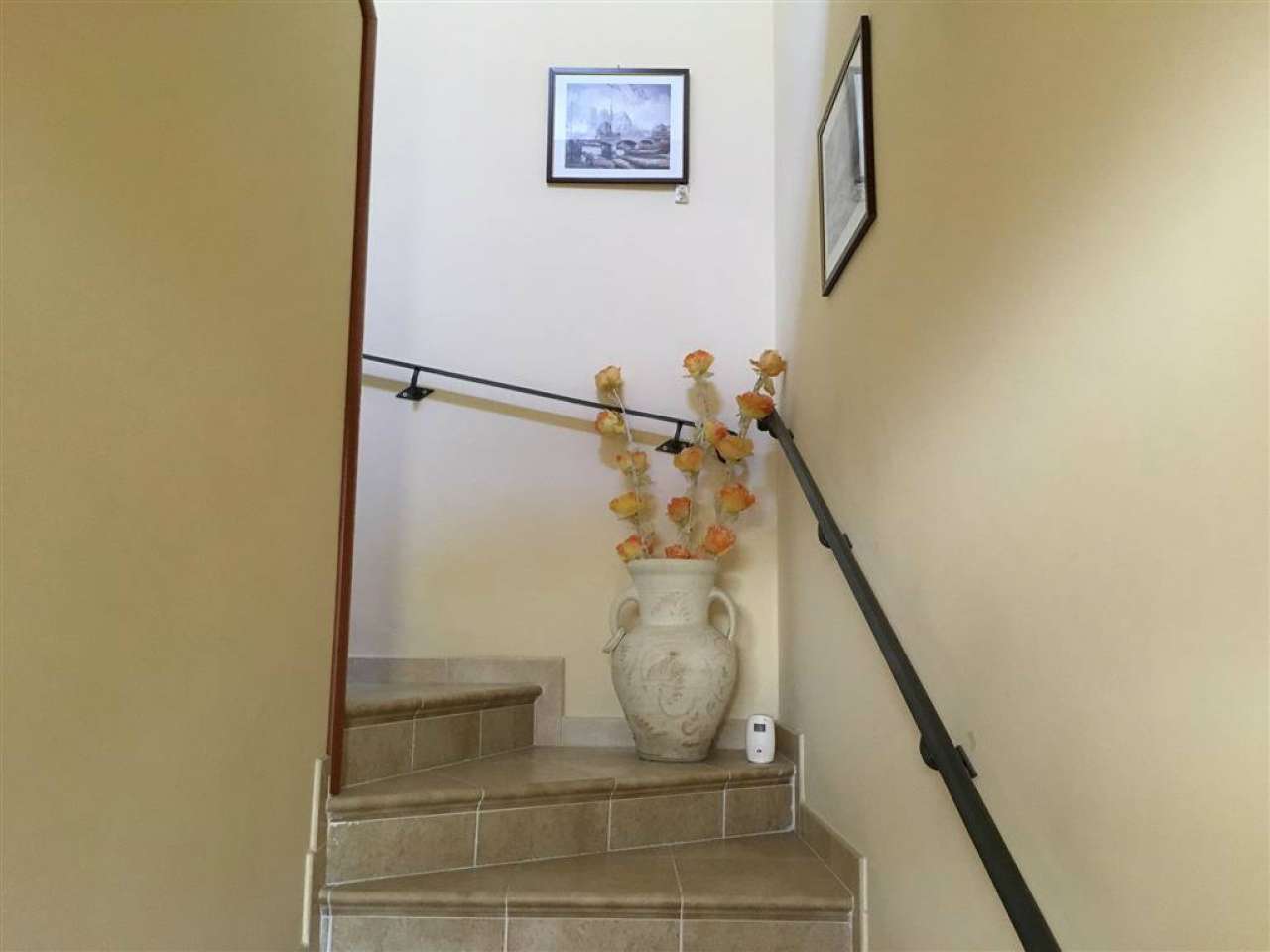 Villa CAMPOBASSO vendita    Stigliani Immobiliare srl