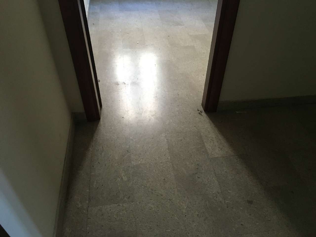 Ufficio - Loc.Com. CAMPOBASSO affitto   via Conte Verde Stigliani Immobiliare srl