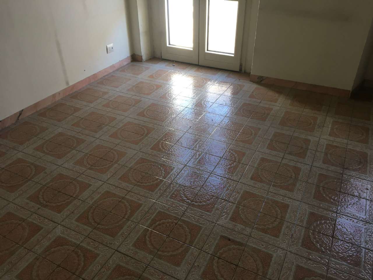 Ufficio - Loc.Com. CAMPOBASSO affitto   via Conte Verde Stigliani Immobiliare srl