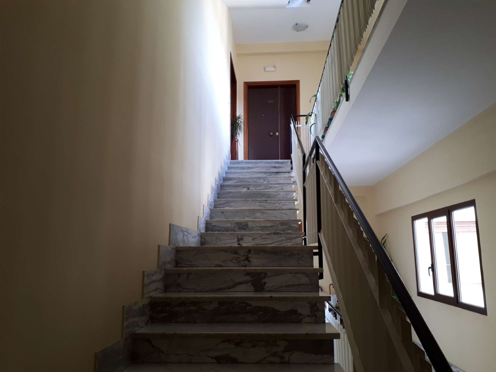 Appartamento CAMPOBASSO vendita   via Trotta Stigliani Immobiliare srl