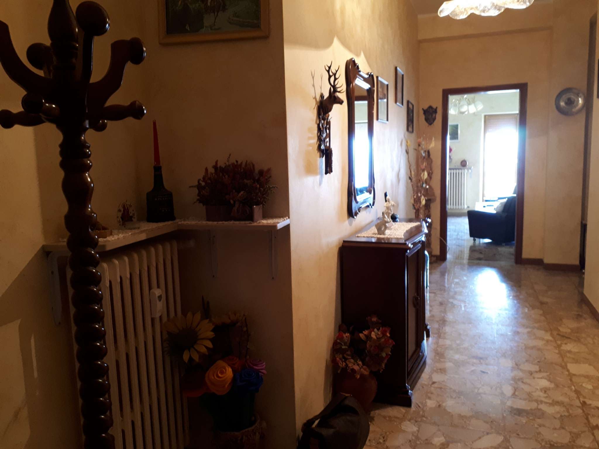 Appartamento CAMPOBASSO vendita   via Trotta Stigliani Immobiliare srl