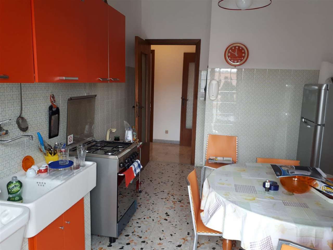 Appartamento CAMPOBASSO affitto   via sturzo Stigliani Immobiliare srl