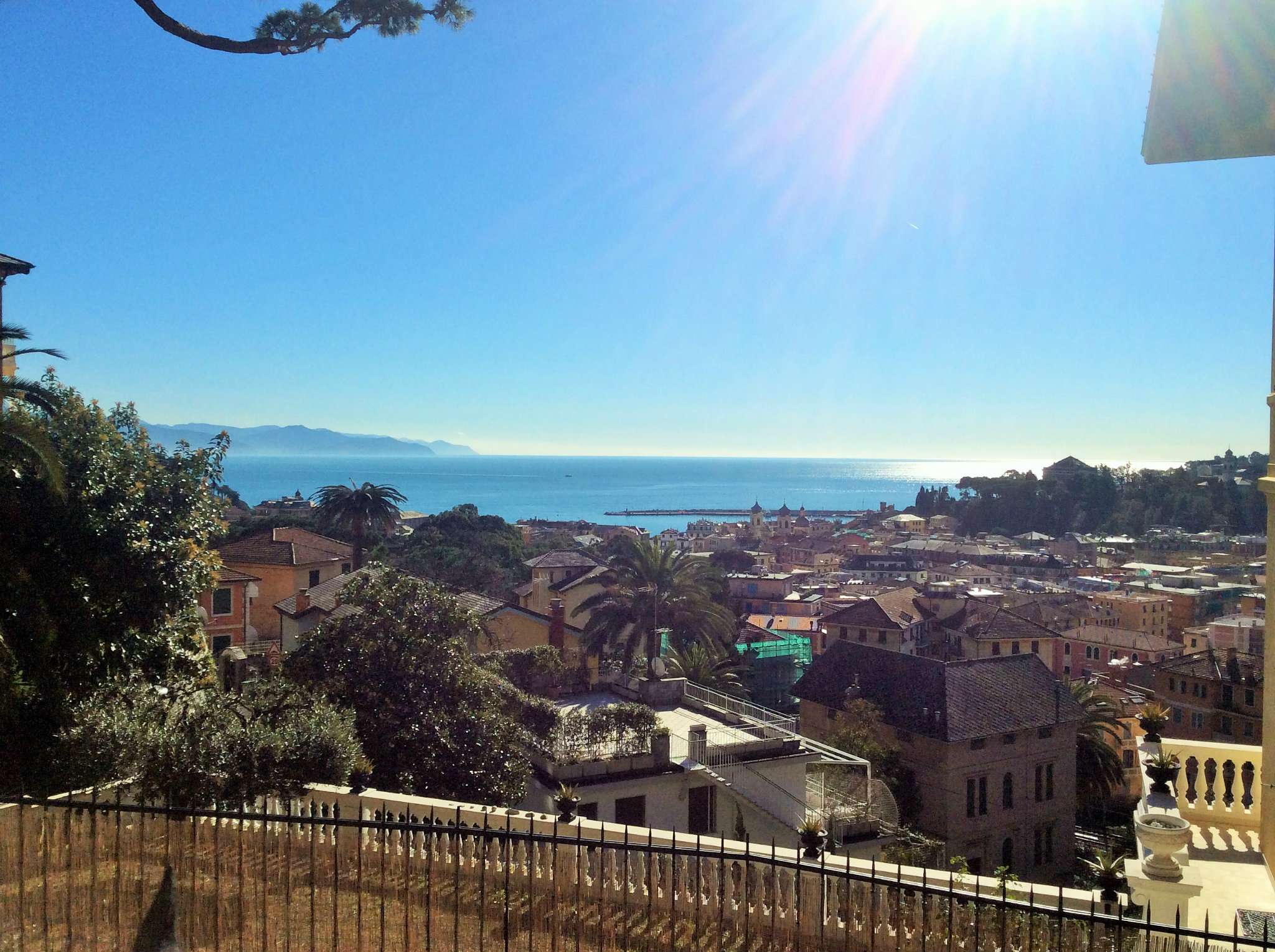 Villa SANTA MARGHERITA LIGURE vendita    PROFESSIONISTI GENOVA