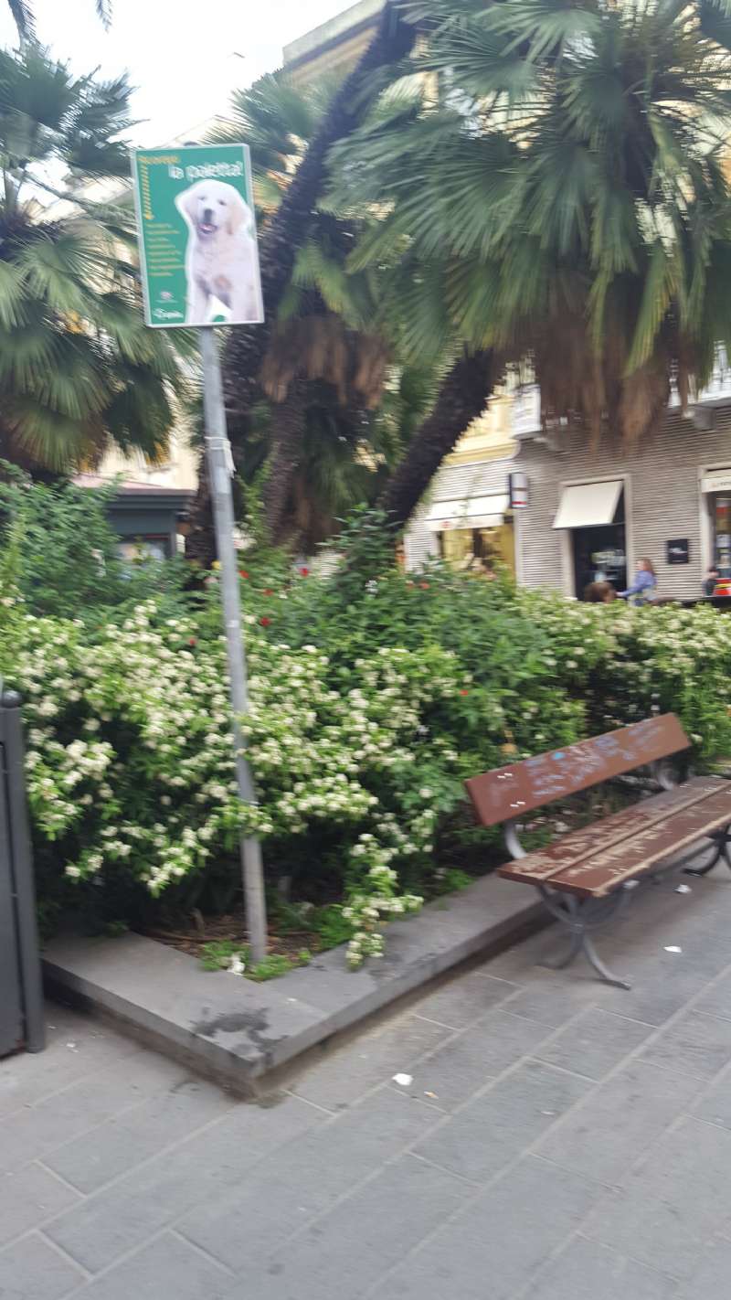 Negozio - Loc.Com. GENOVA vendita  SESTRI P. C.Corradi PROFESSIONISTI GENOVA