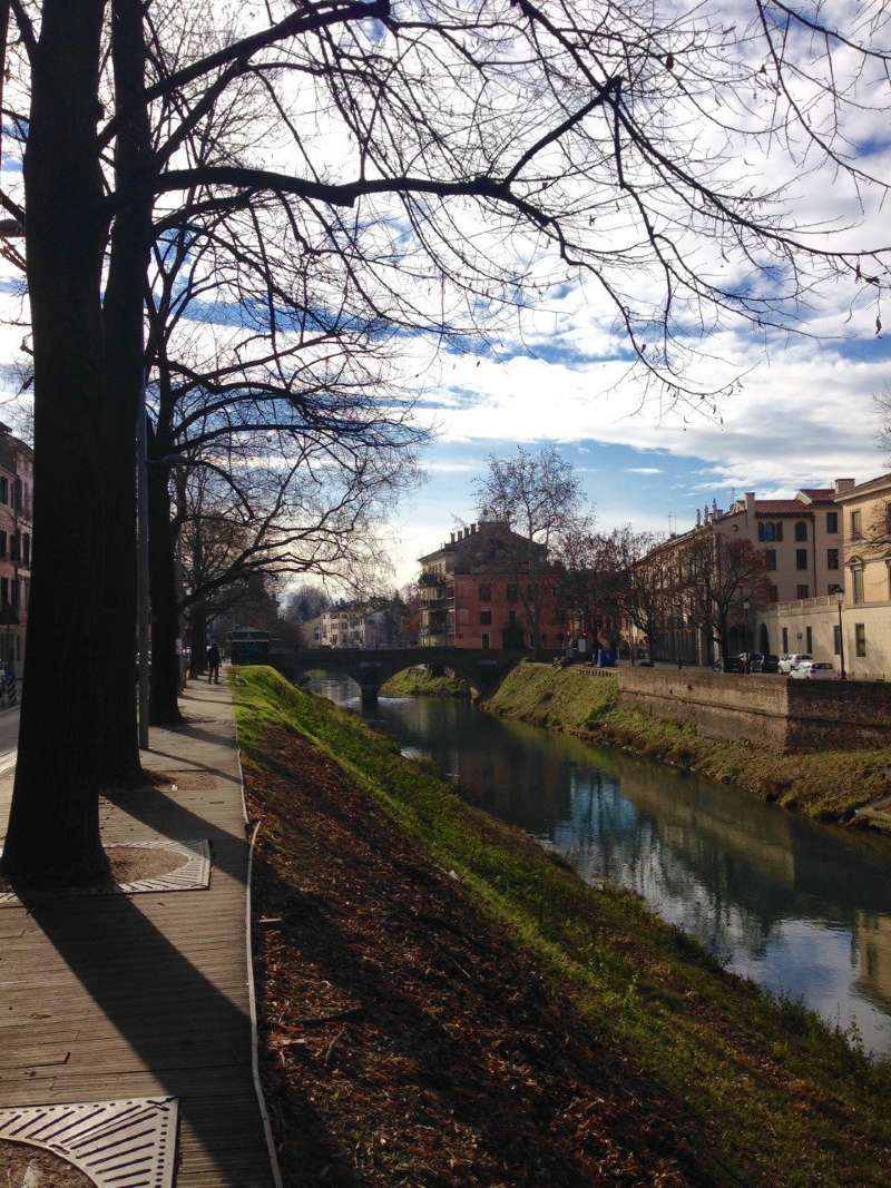  padova vendita quart: centro studio 3 immobiliare