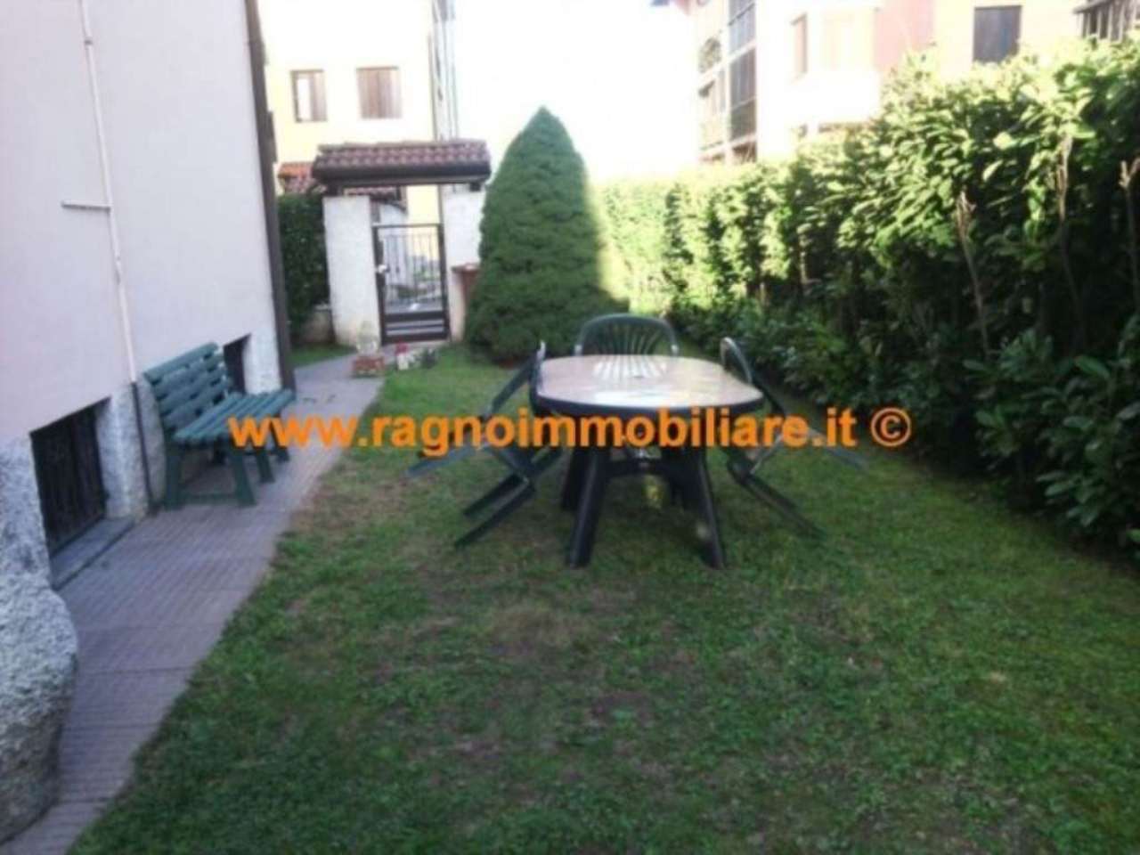 Villa GIUSSAGO vendita    Ragno Immobiliare