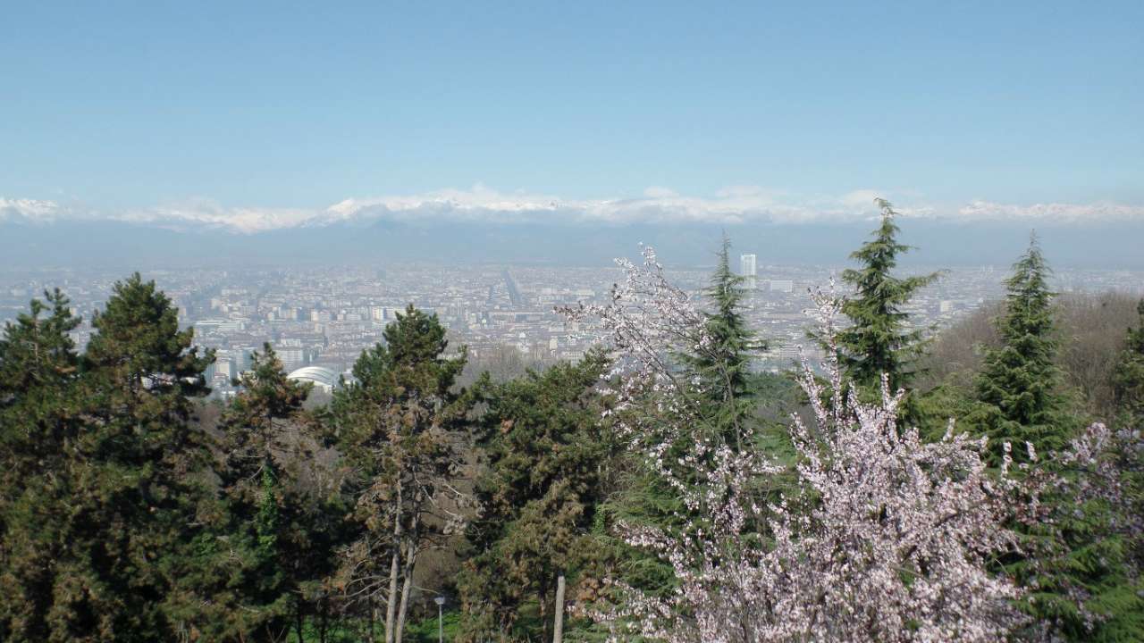 Appartamento TORINO vendita  PRECOLLINA Vigne di San Vito Immobiliare Luciana Vola