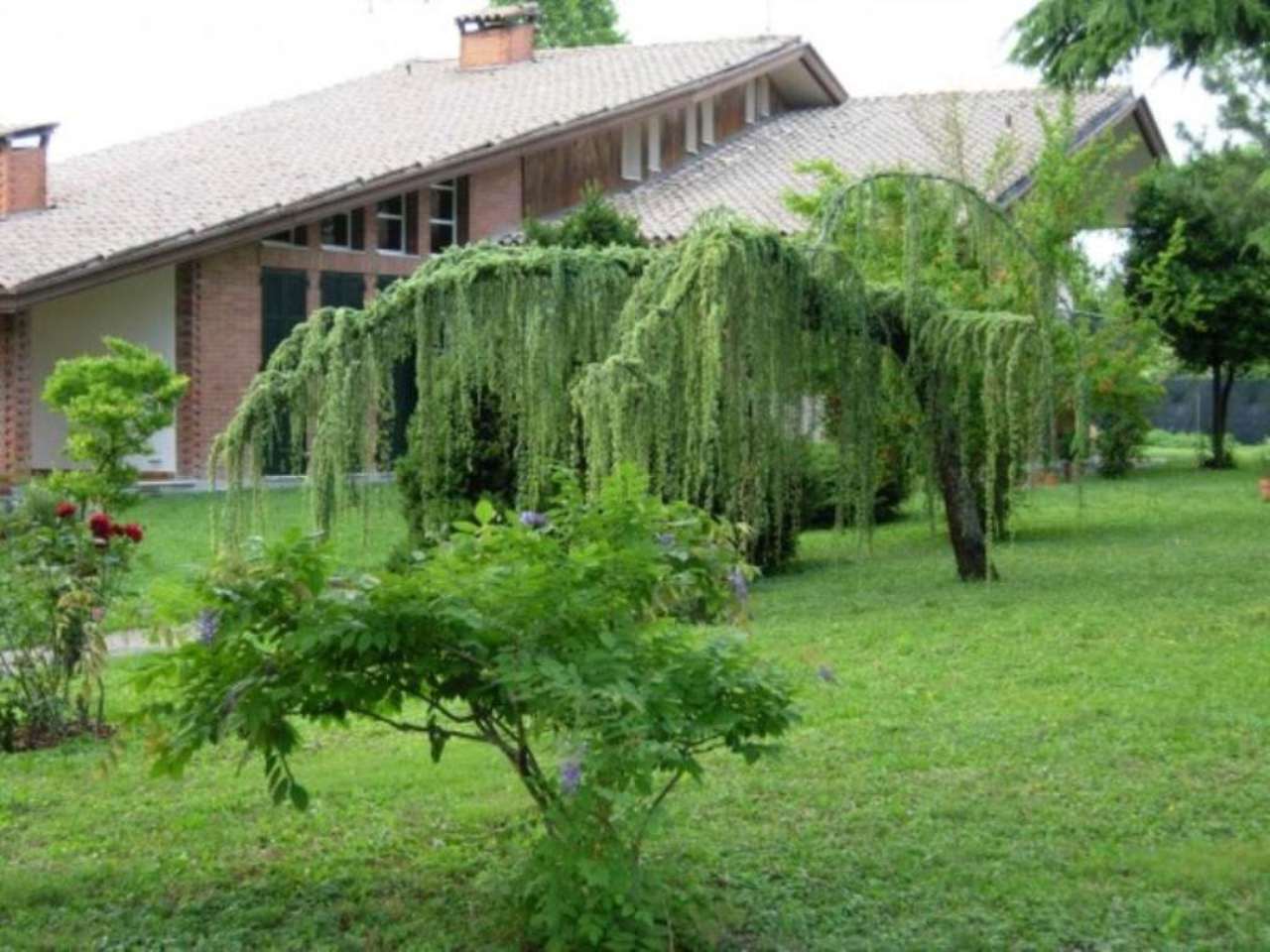 Villa CADONEGHE vendita   conche Agenzia Immobiliare SAN LEONARDO