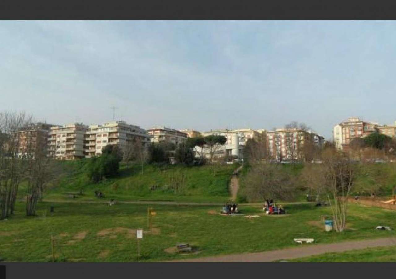 Appartamento ROMA affitto  COLLI ALBANI VIA AMEDEO CRIVELLUCCI webcase srl