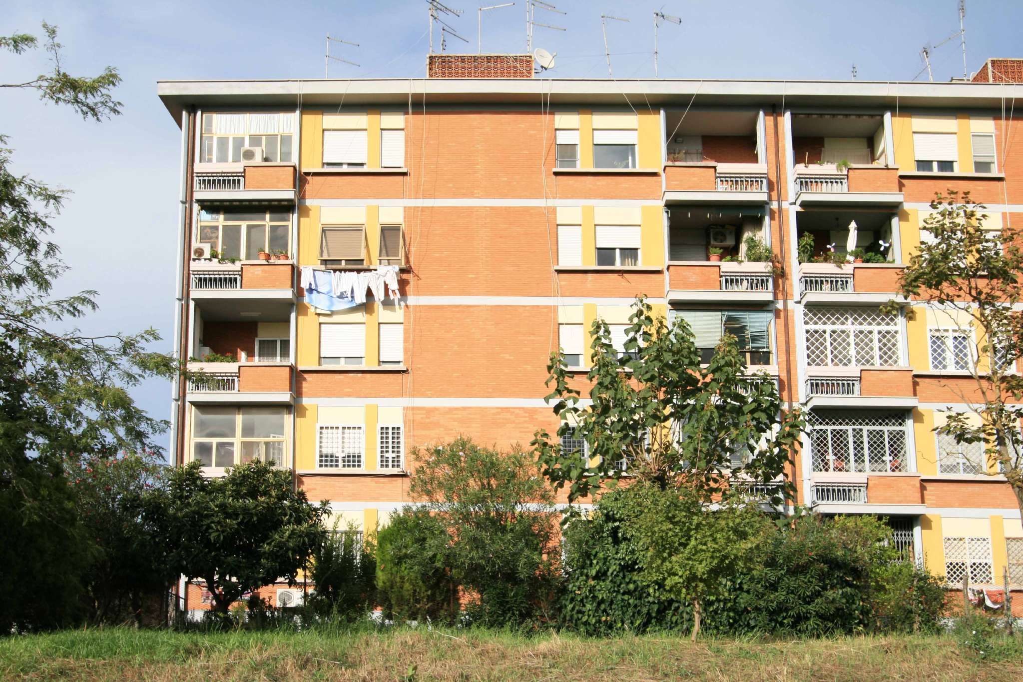 Appartamento ROMA vendita  MARCONI via Nicola Parravano SIF Soluzioni Immobiliari