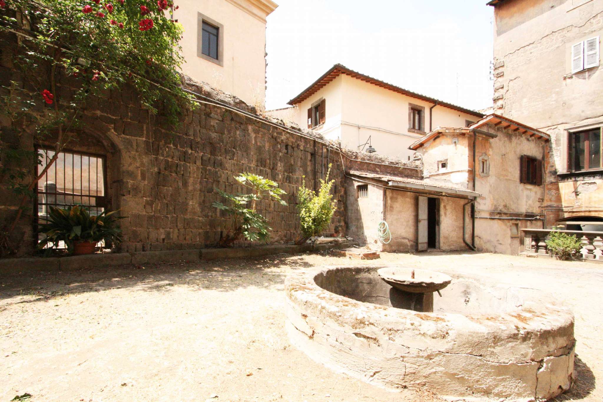 Negozio - Loc.Com. VITERBO vendita   Via Annio SIF Soluzioni Immobiliari