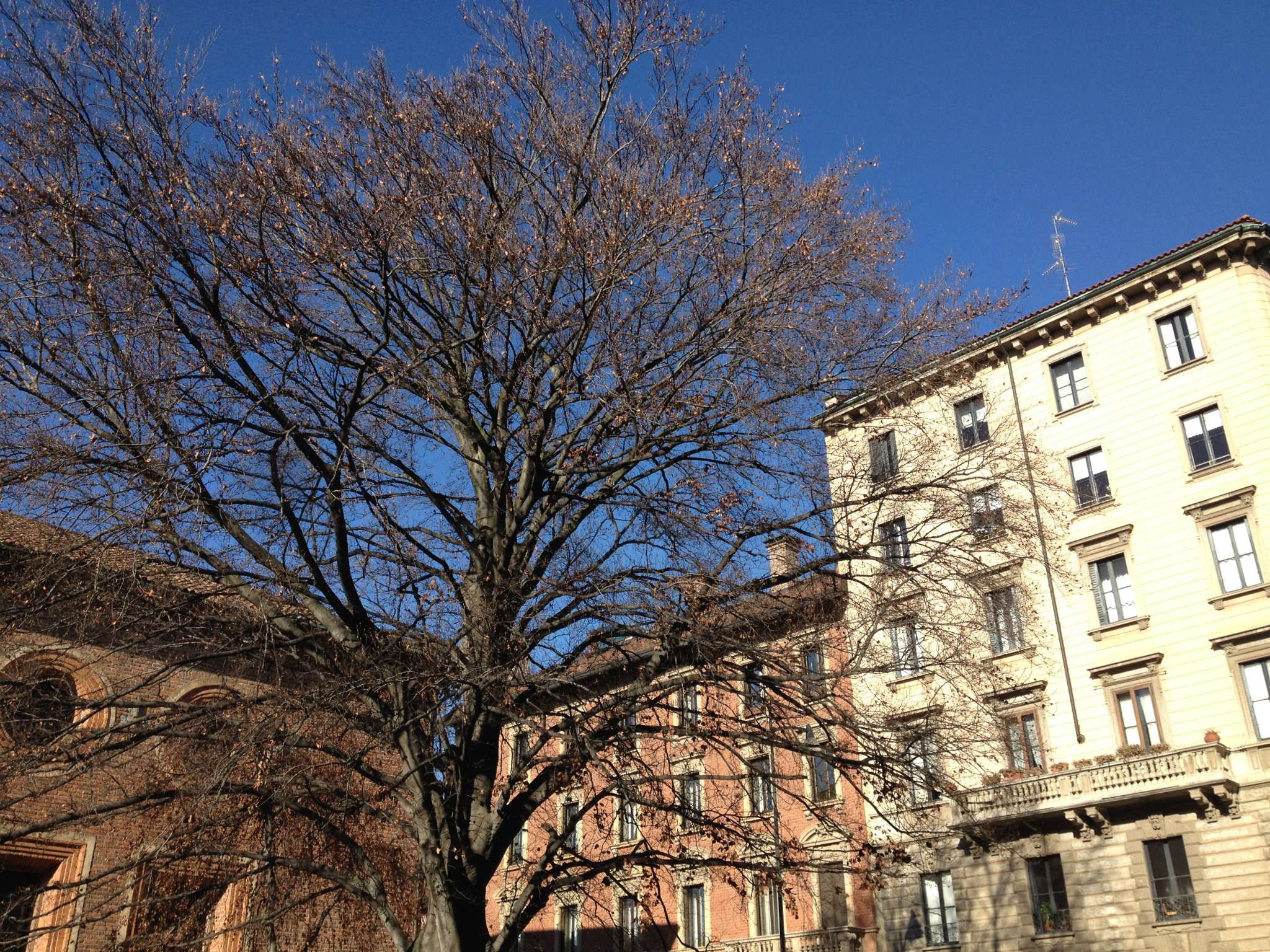 Negozio - Loc.Com. MILANO affitto  CENTRO STORICO Vincenzo Monti Italia Fudosan Real Estate