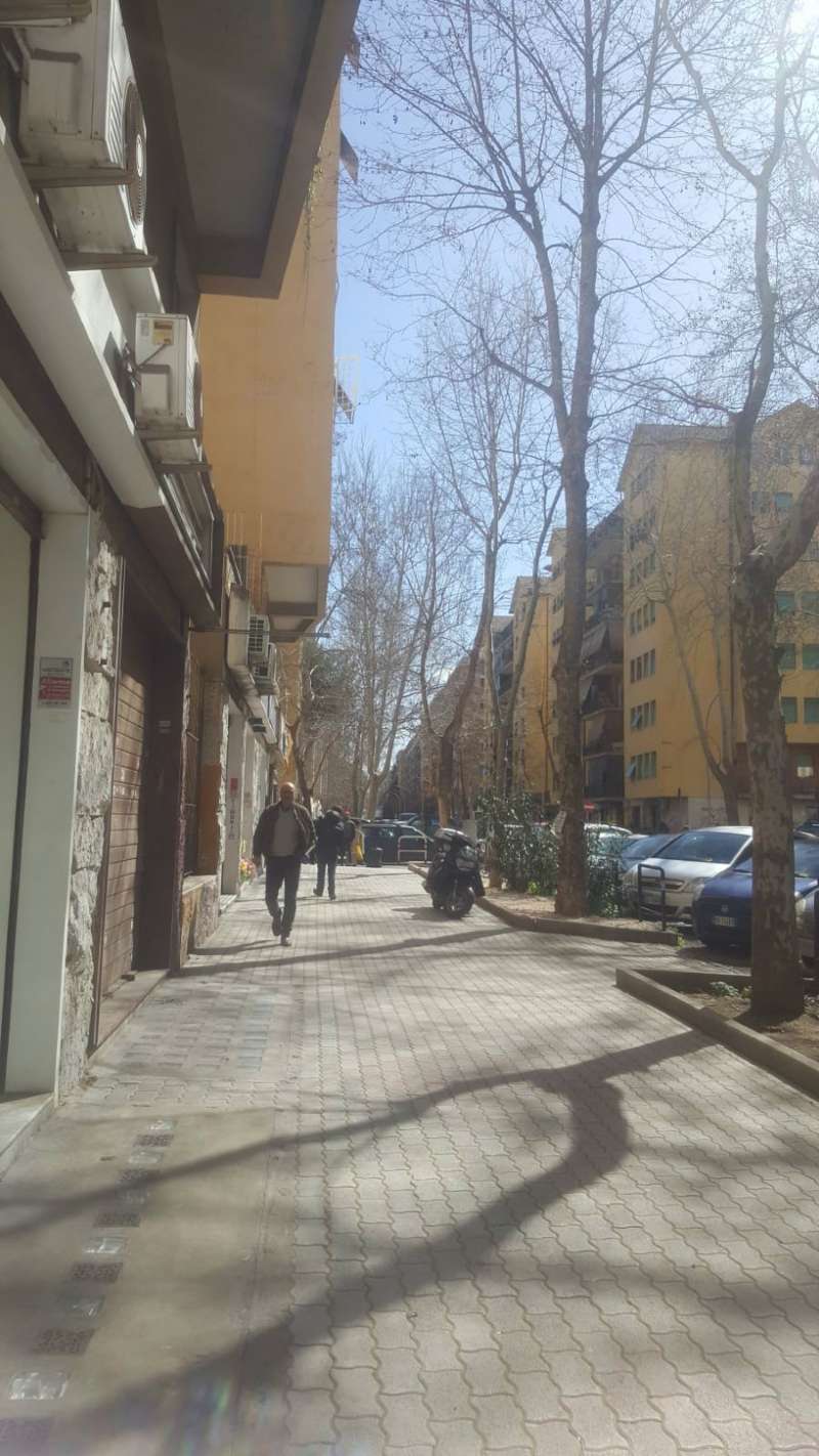  roma affitto quart: don bosco (vii mun.) kreaworld-di-altieri-martina