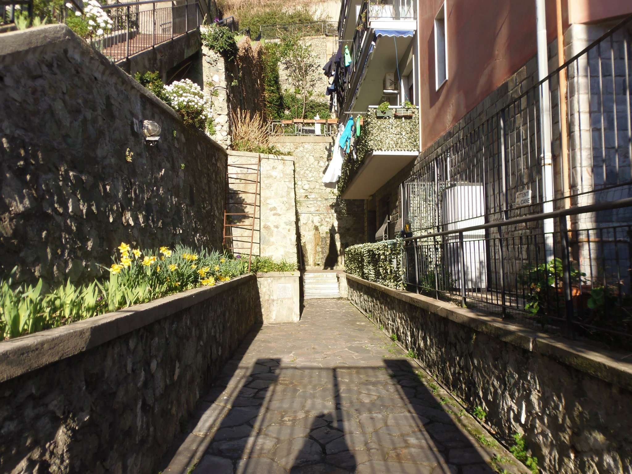 Appartamento GENOVA vendita  PEGLI Scarpanto AL.BA IMMOBILIARE SNC