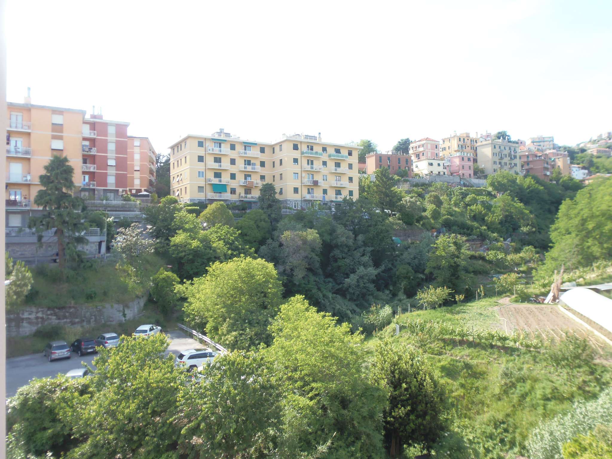 Appartamento GENOVA vendita  SESTRI P. VIA BONFADIO AL.BA IMMOBILIARE SNC