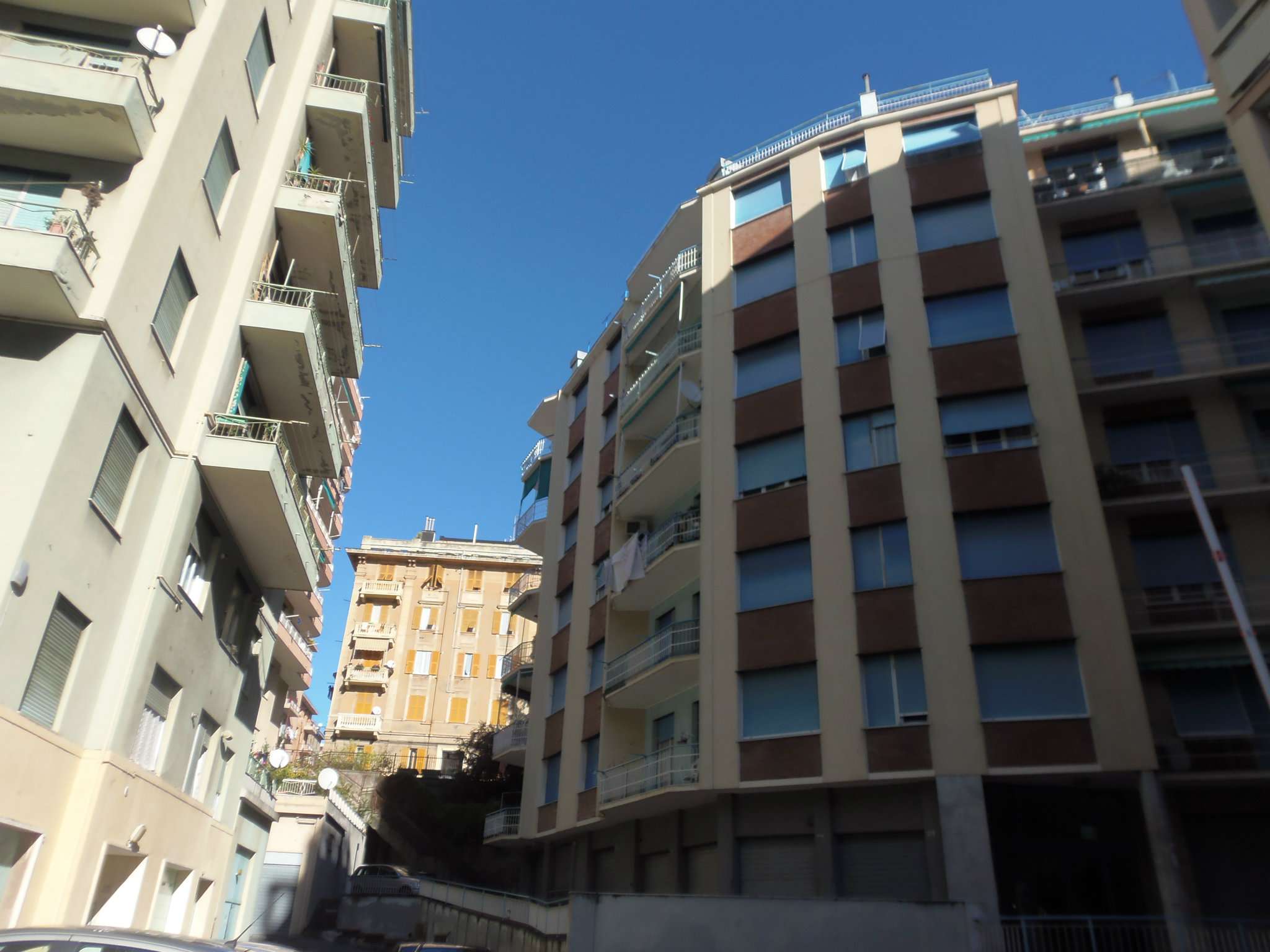 Appartamento GENOVA vendita  SESTRI P. erede AL.BA IMMOBILIARE SNC