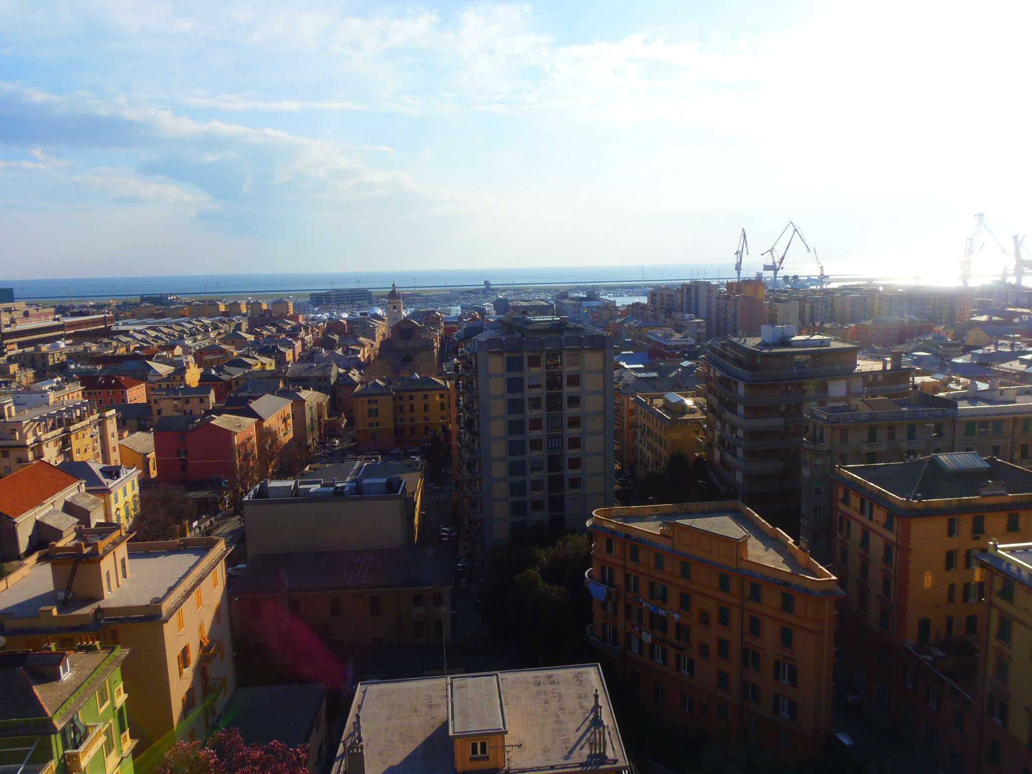 Appartamento GENOVA vendita  SESTRI P. Canepa AL.BA IMMOBILIARE SNC