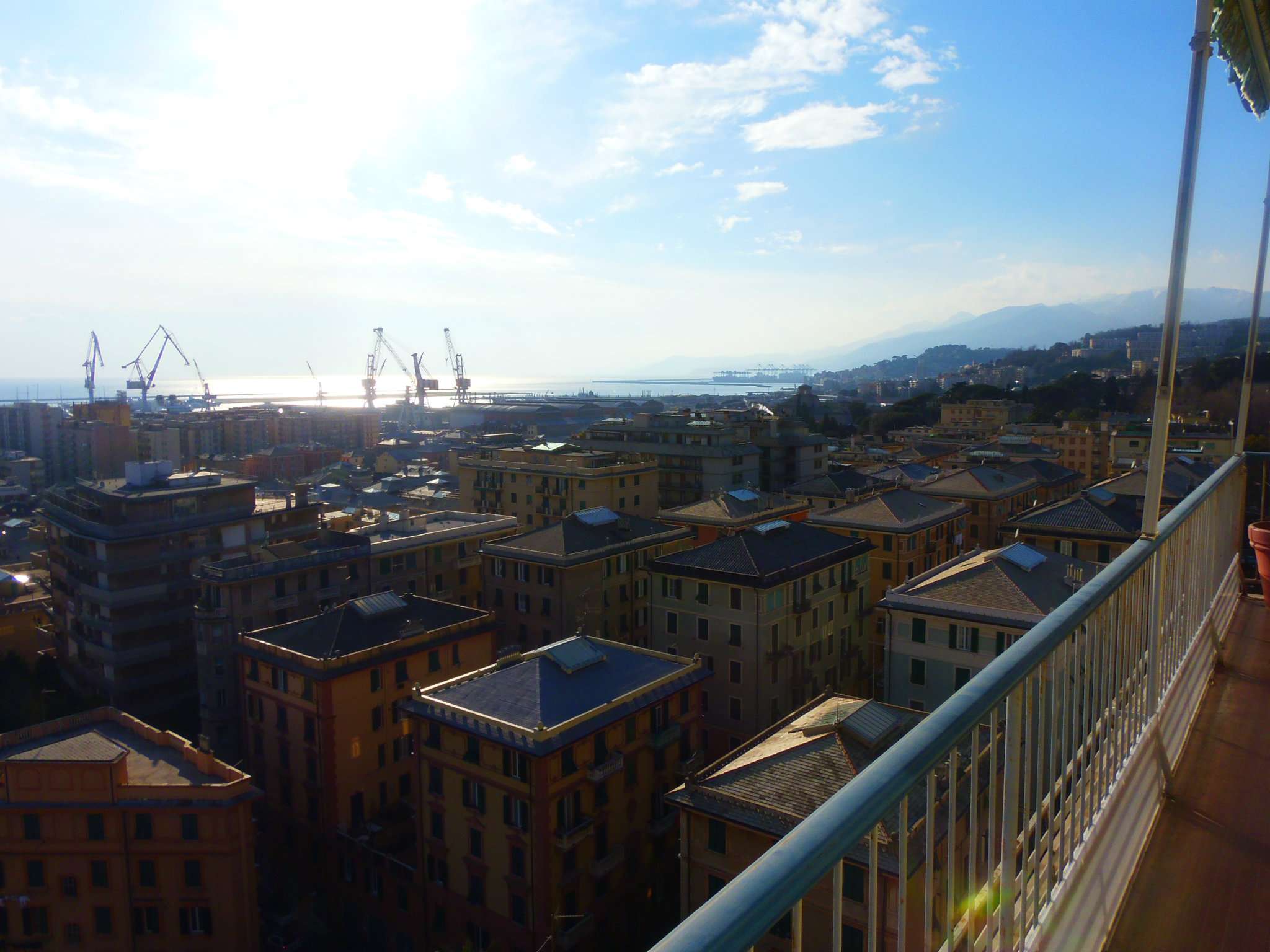 Appartamento GENOVA vendita  SESTRI P. Canepa AL.BA IMMOBILIARE SNC