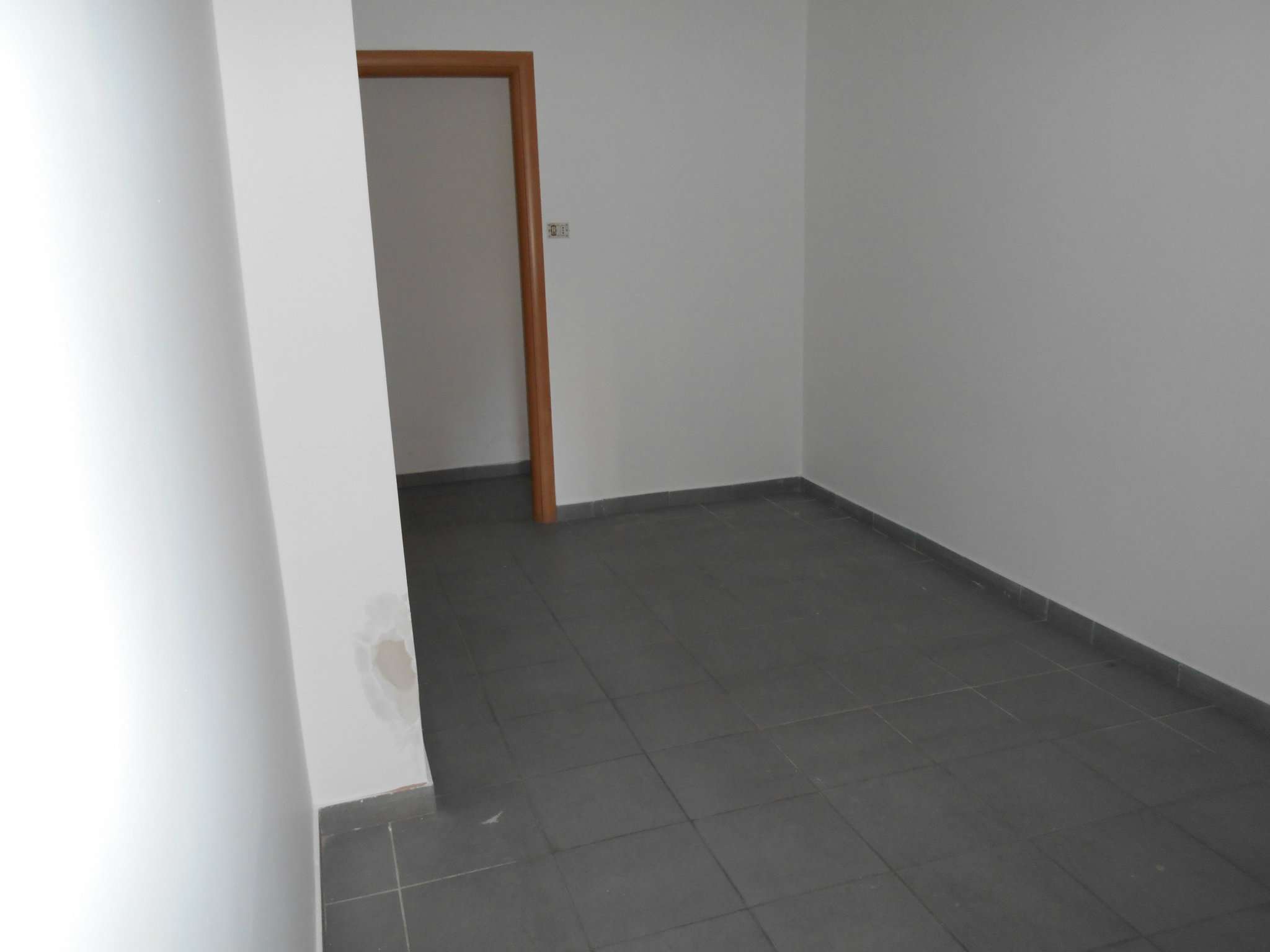 Negozio - Loc.Com. ROMA affitto  COLLI ALBANI Eurialo L'Affittafacile