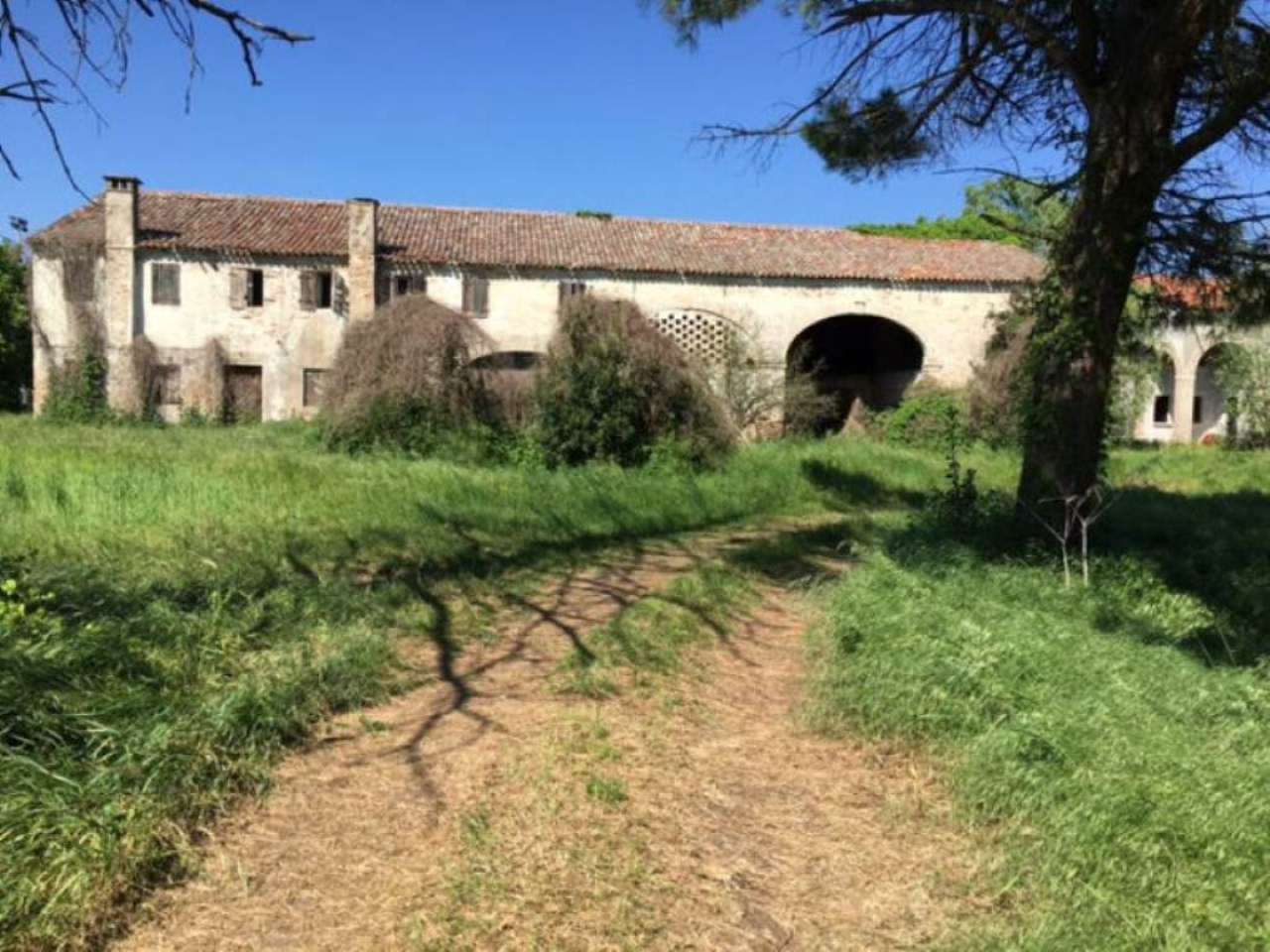 Rustico - Cascina ARZERGRANDE vendita   umberto i PiazzAffari di Dal Santo Renato