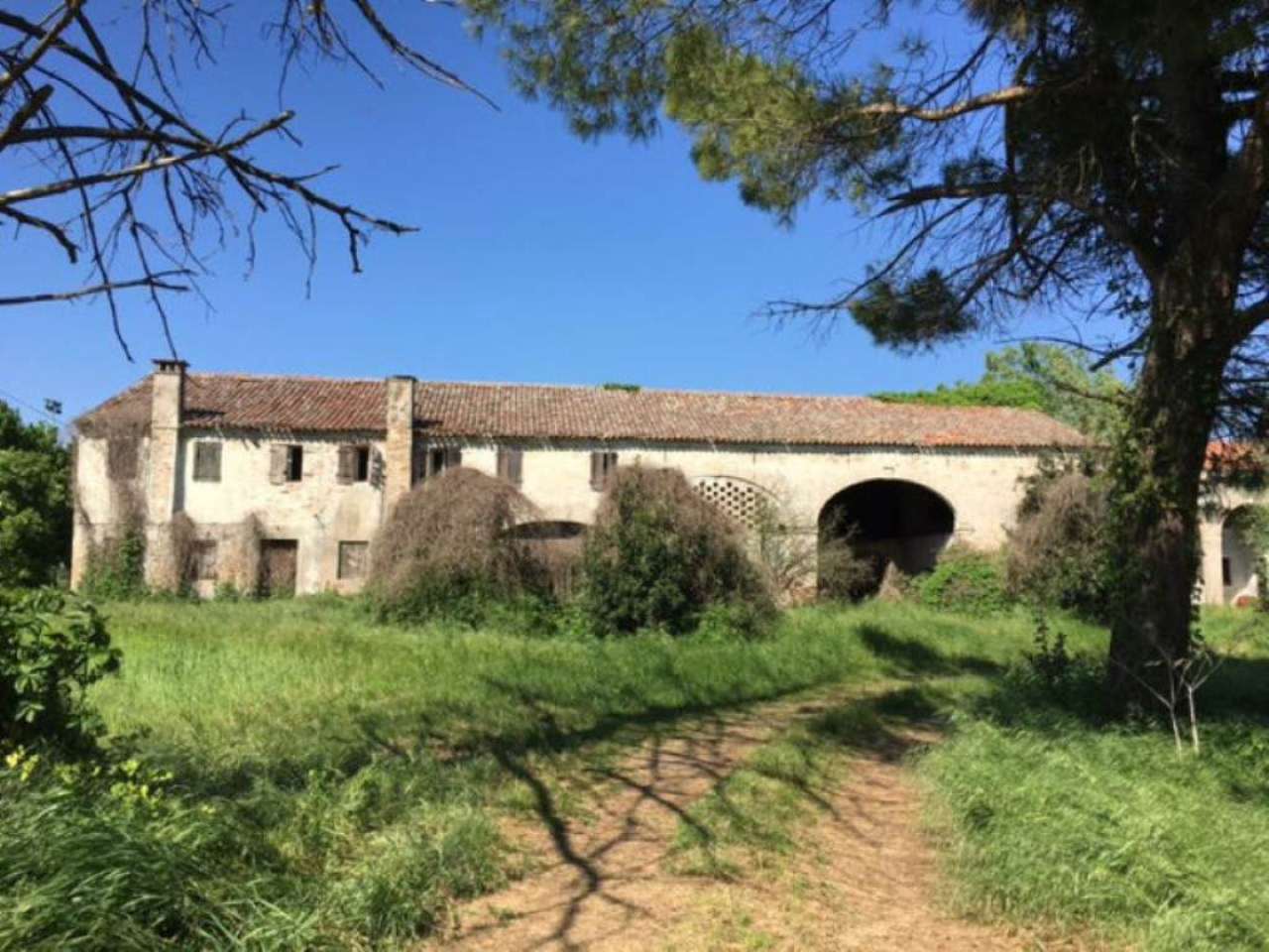 Rustico - Cascina ARZERGRANDE vendita   umberto i PiazzAffari di Dal Santo Renato