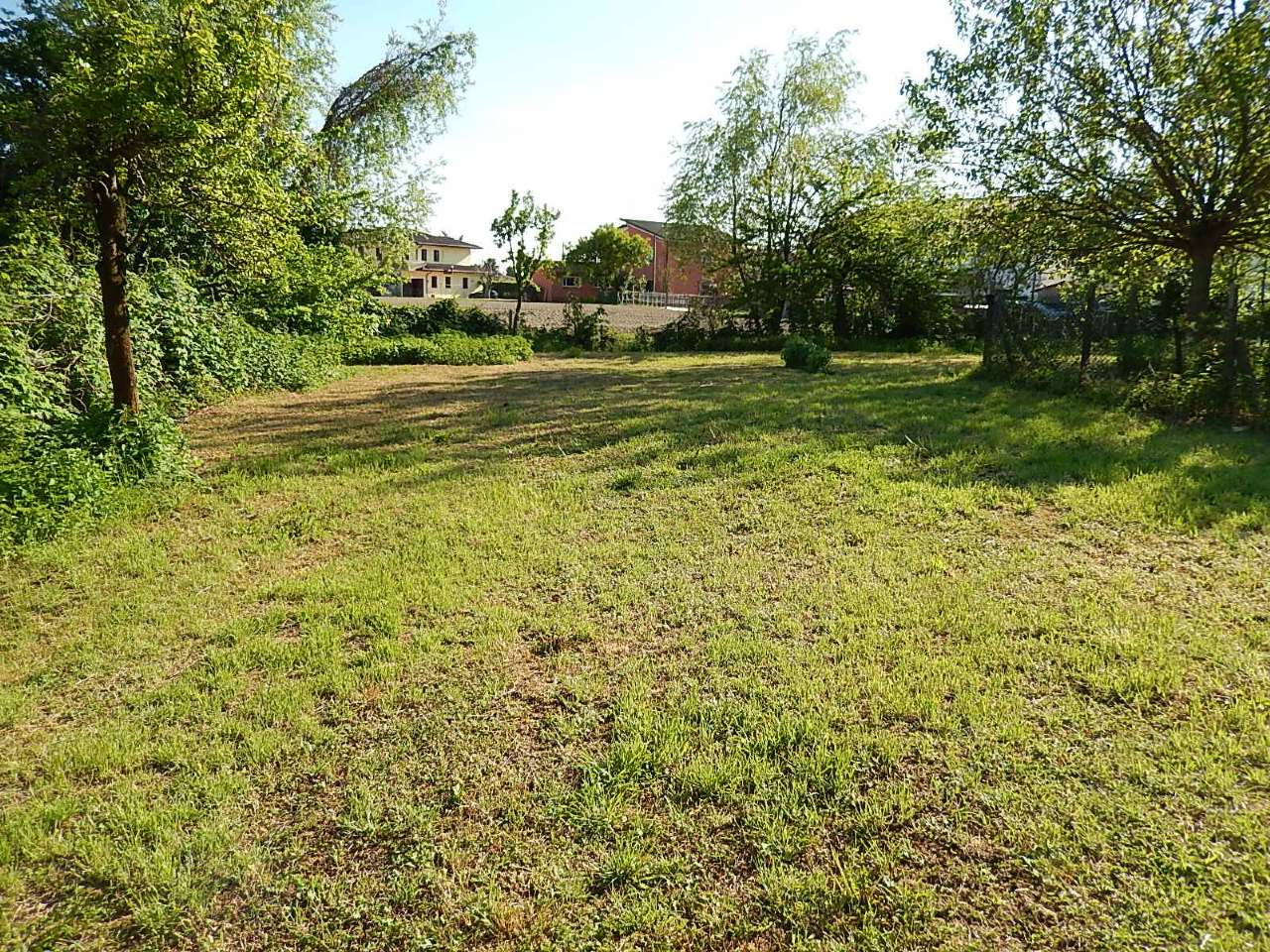 Rustico - Cascina ARZERGRANDE vendita   via roma PiazzAffari di Dal Santo Renato