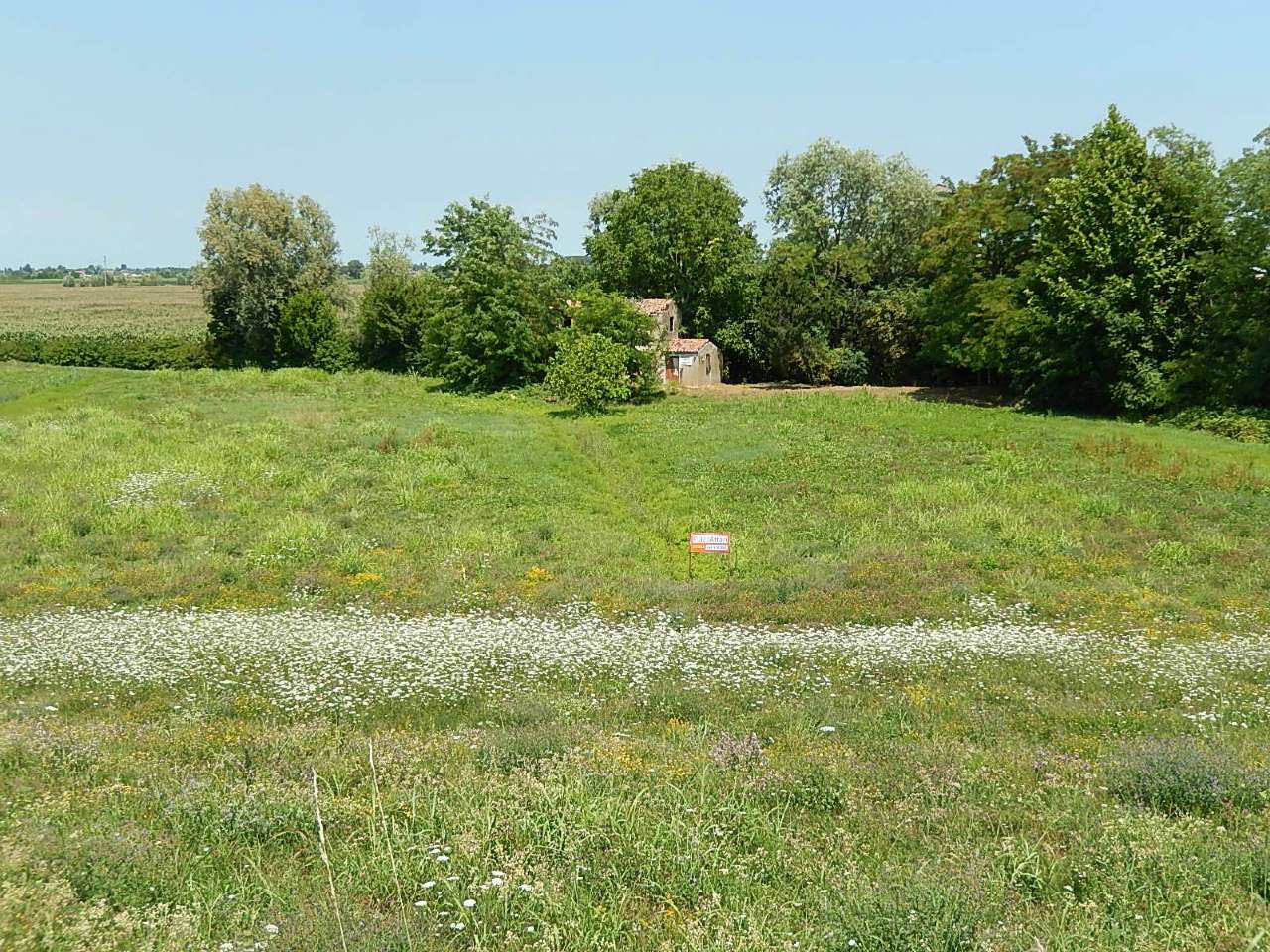 Rustico - Cascina CODEVIGO vendita   roma PiazzAffari di Dal Santo Renato