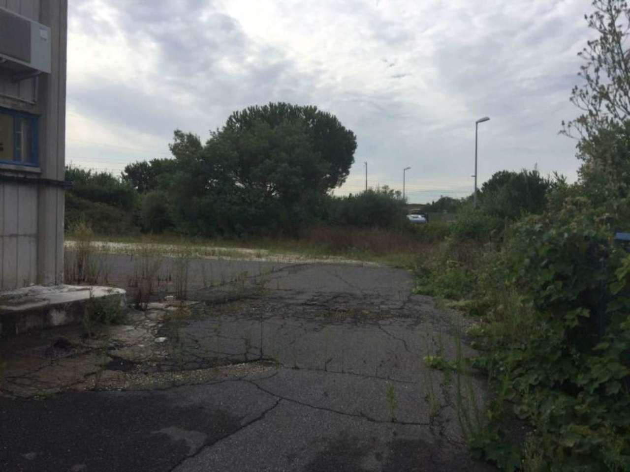 Capannoni (Tutti) ROMA affitto  PORTUENSE (XV MUN.) via del fosso della magliana Immobiliare Santacroce S.R.L.